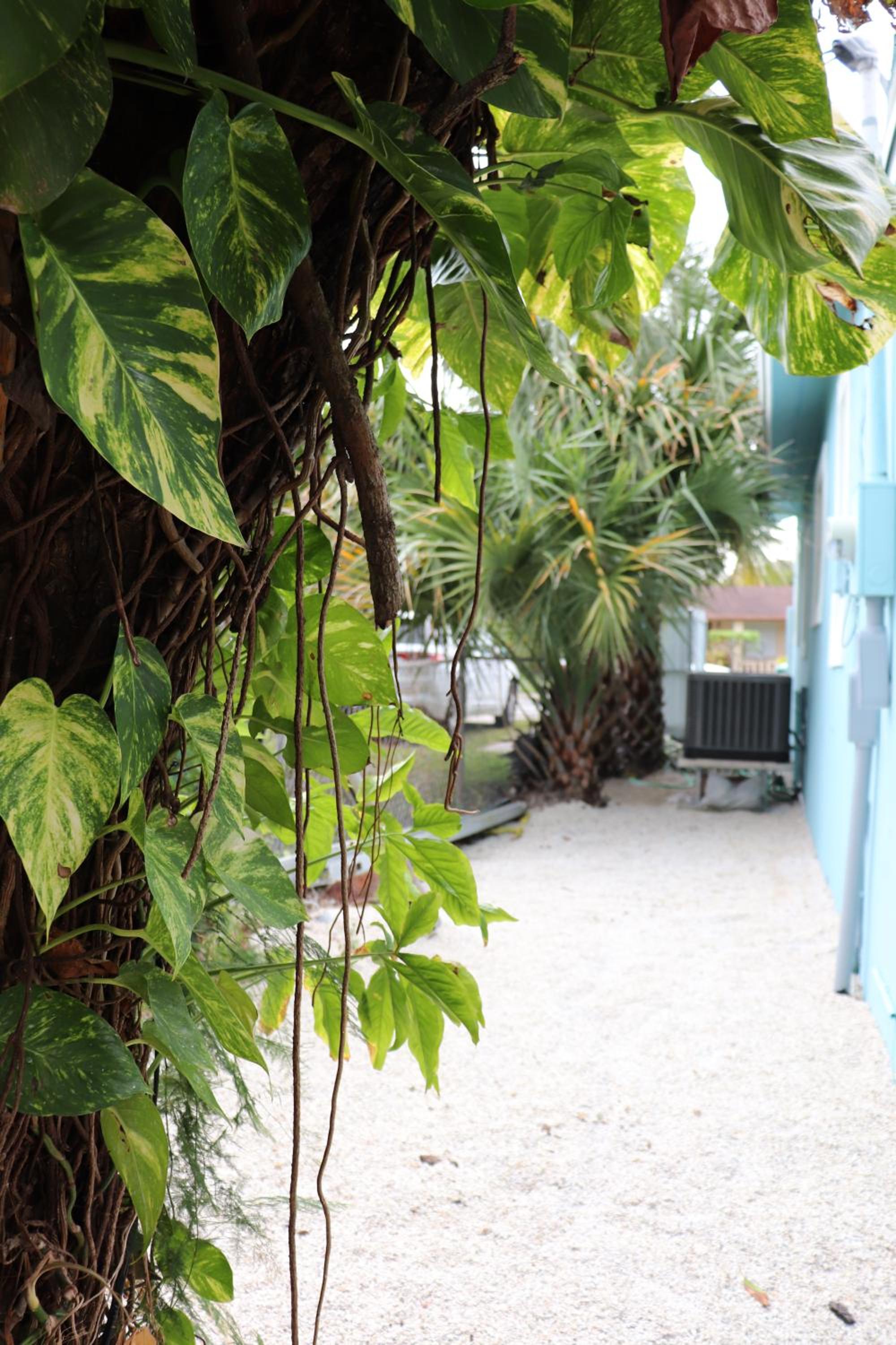 Caribbean Style House