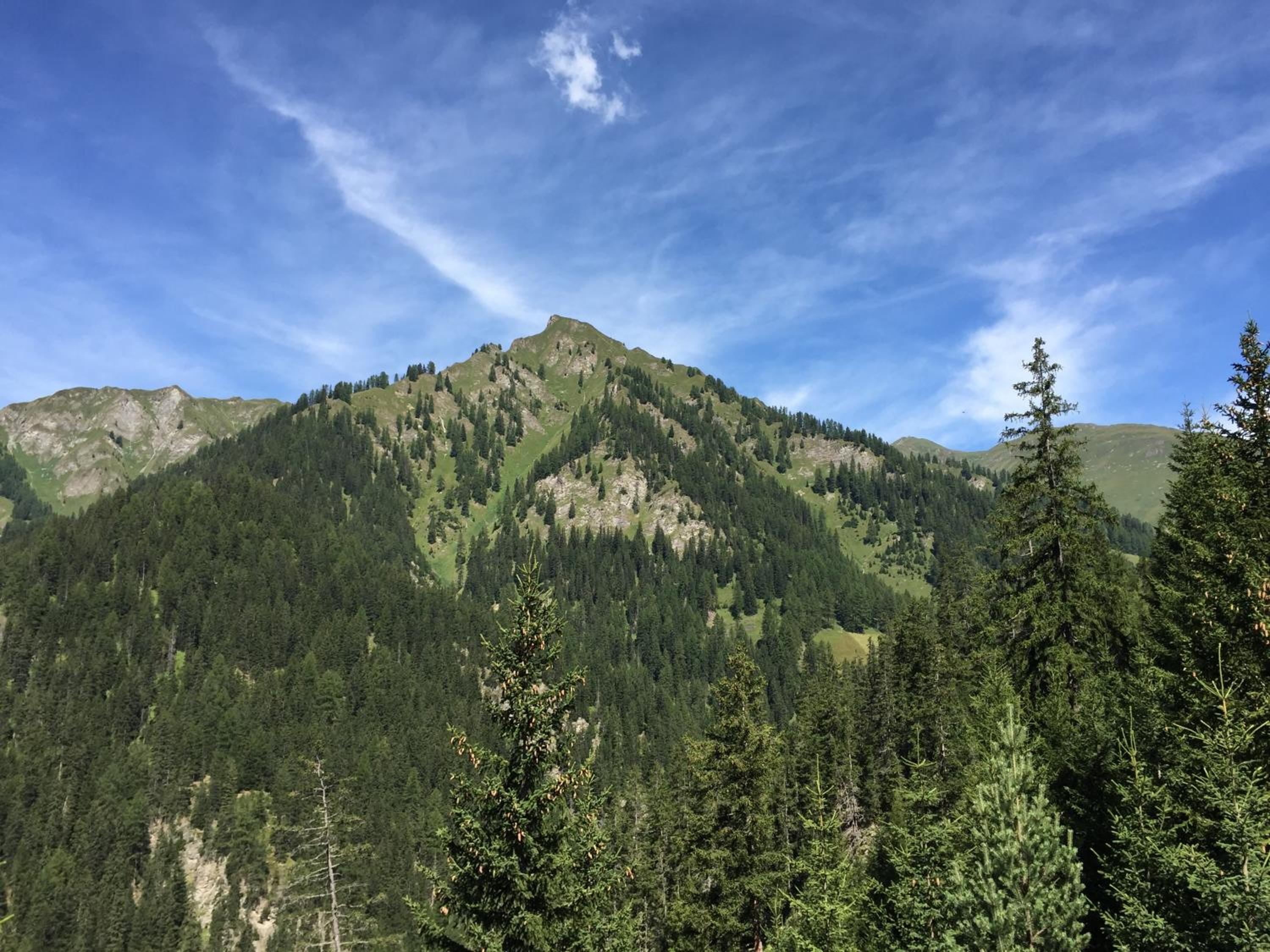 Photo 20
