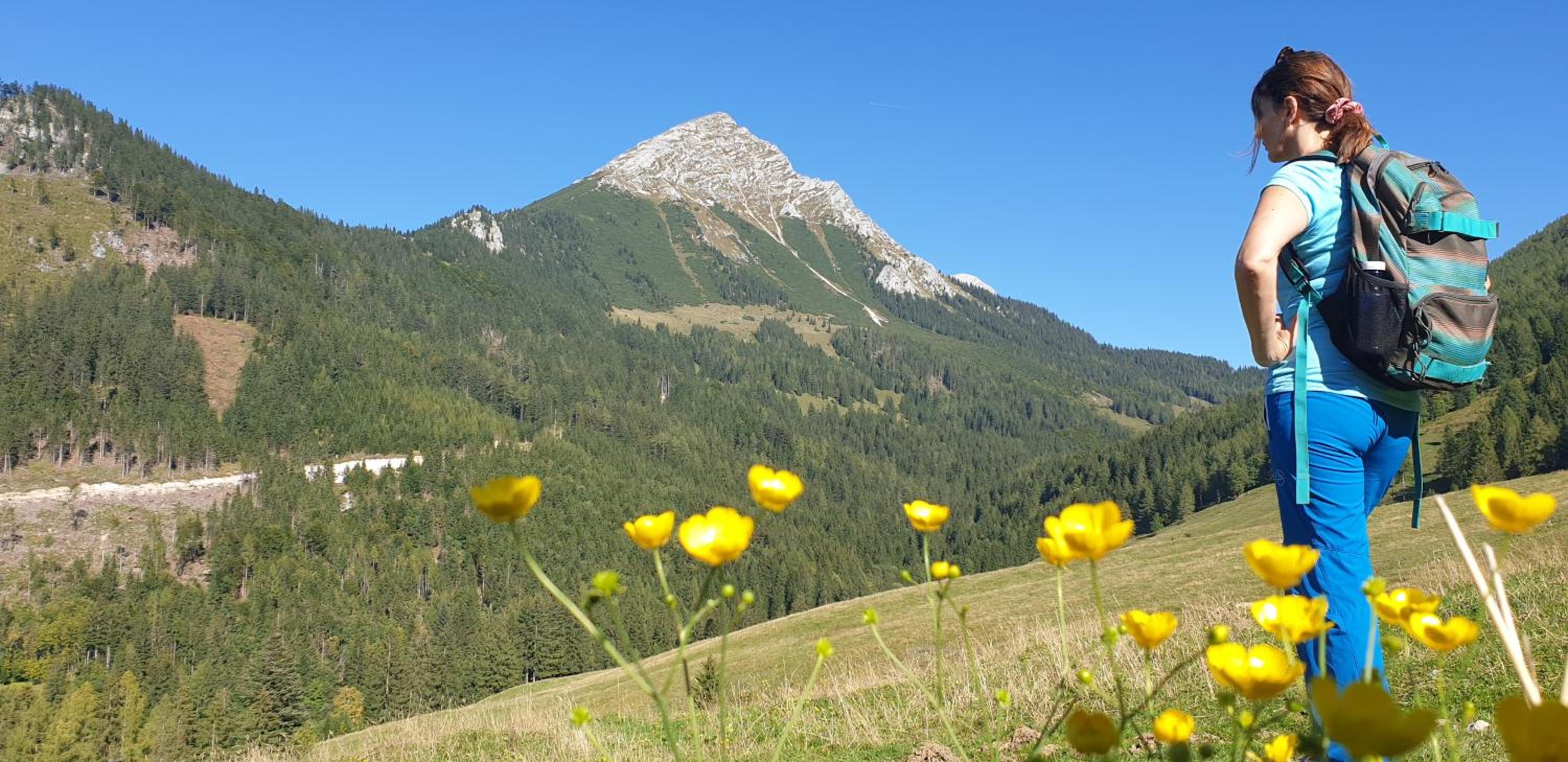 Ferienhaus Mountain View