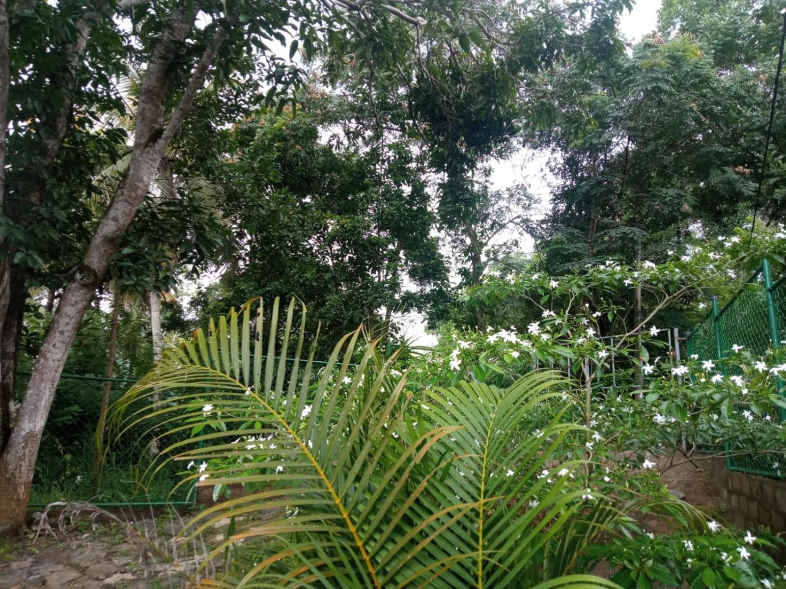 Kotuwegedera Dumbara Residency