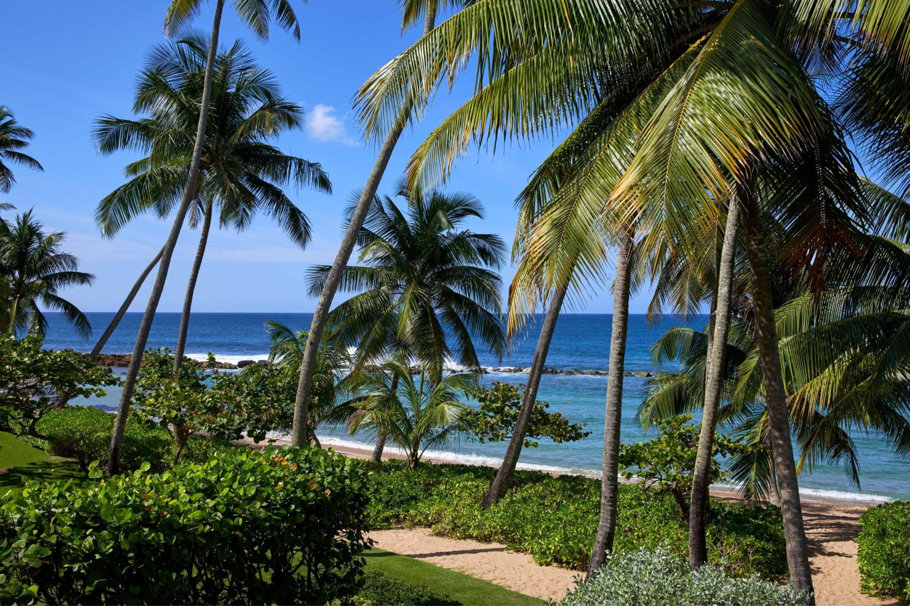 Dorado Beach, a Ritz-Carlton Reserve - Property Image 101