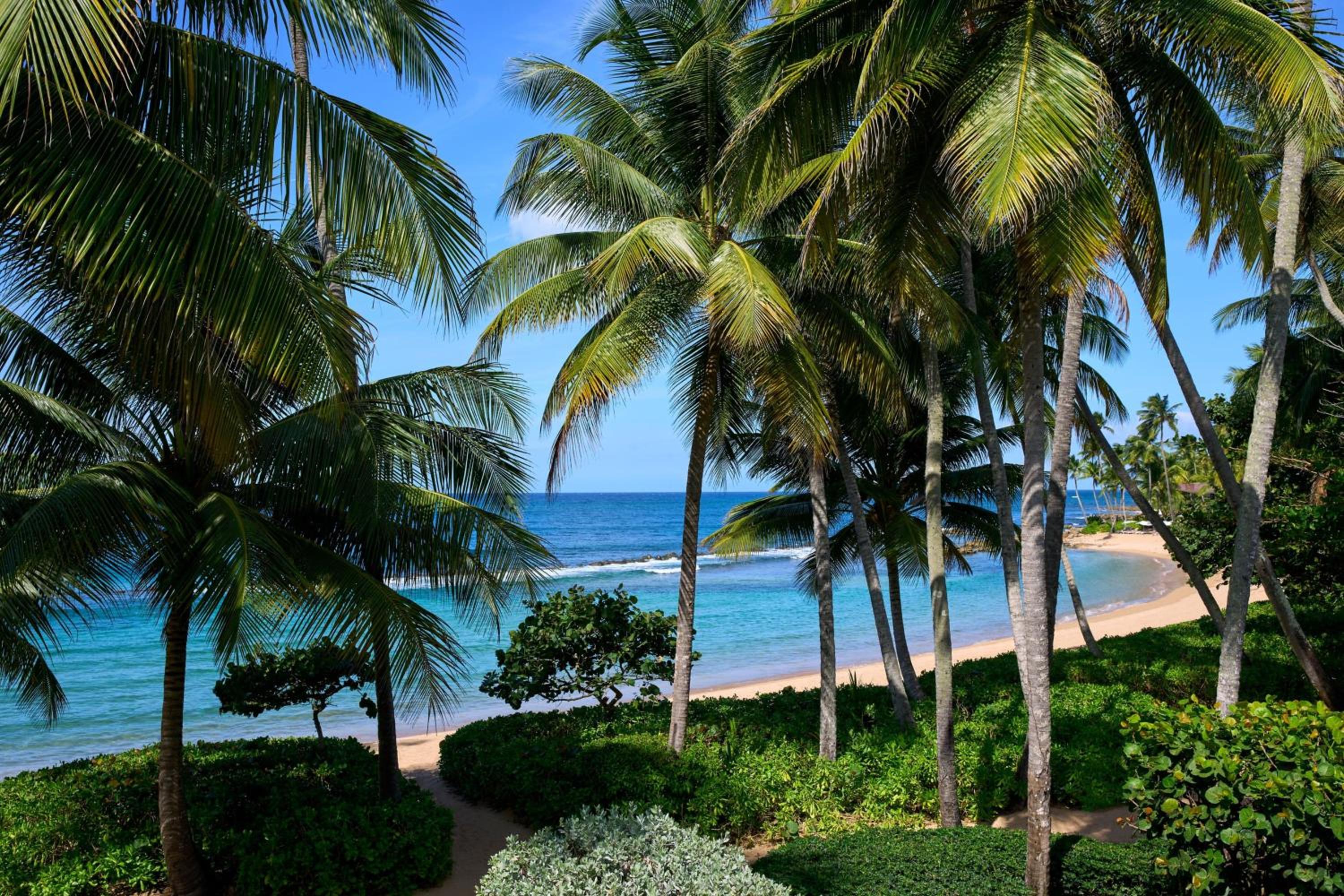 Dorado Beach, a Ritz-Carlton Reserve - Property Image 102