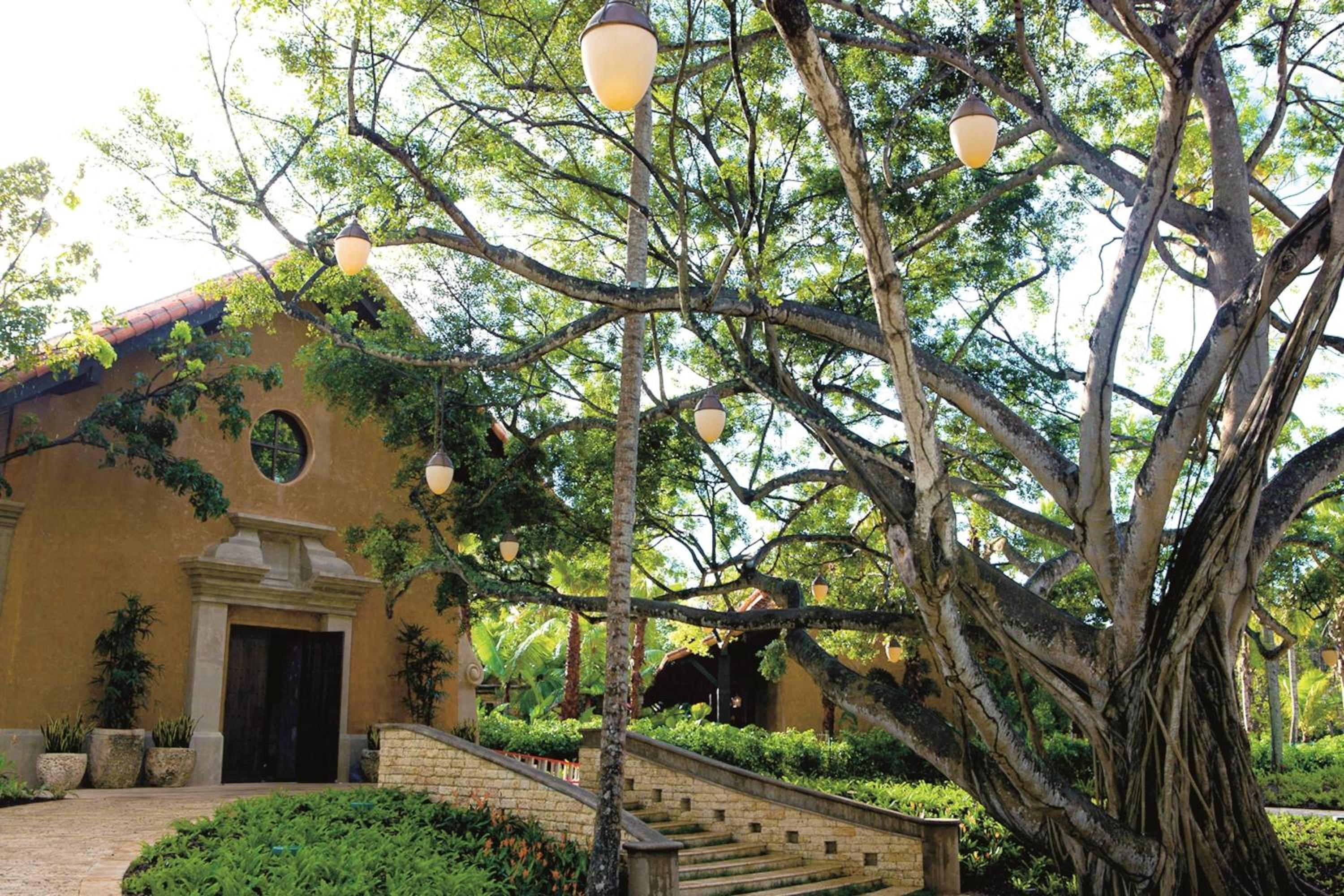 Dorado Beach, a Ritz-Carlton Reserve - Property Image 52