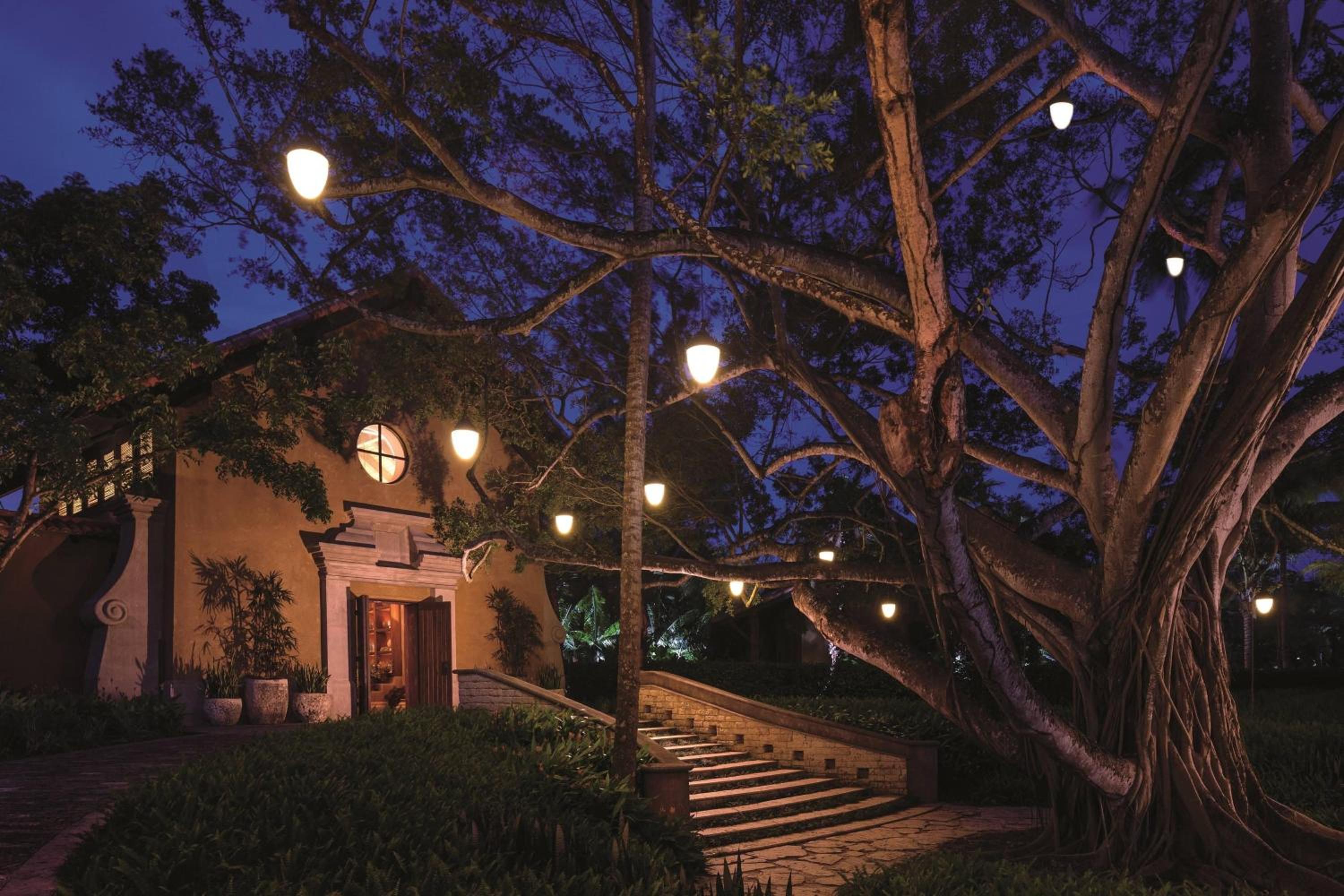 Dorado Beach, a Ritz-Carlton Reserve - Property Image 153
