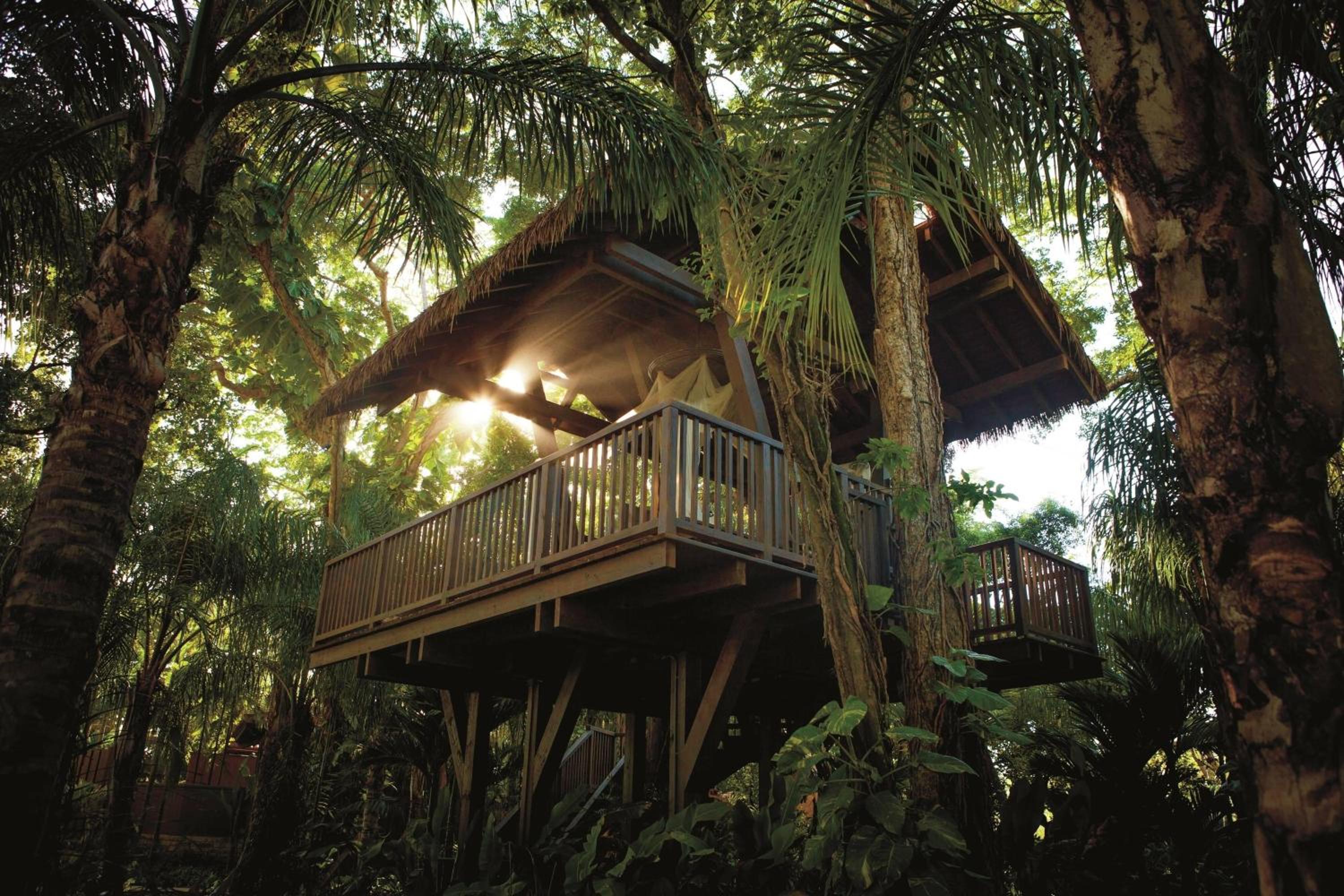 Dorado Beach, a Ritz-Carlton Reserve - Property Image 56