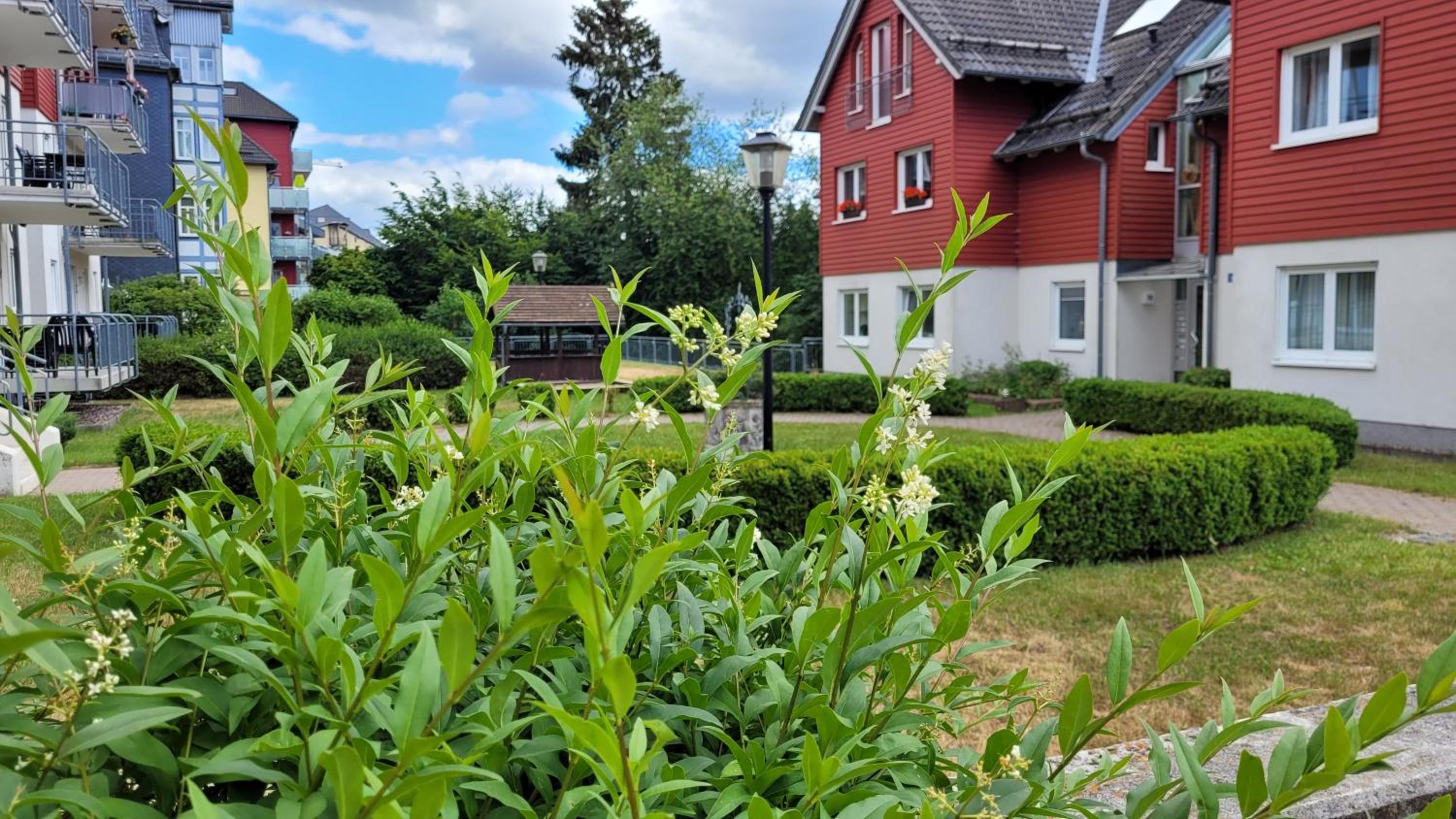 Wohlfühl-Ferienwohnung mit Tiefgarage im Grünen