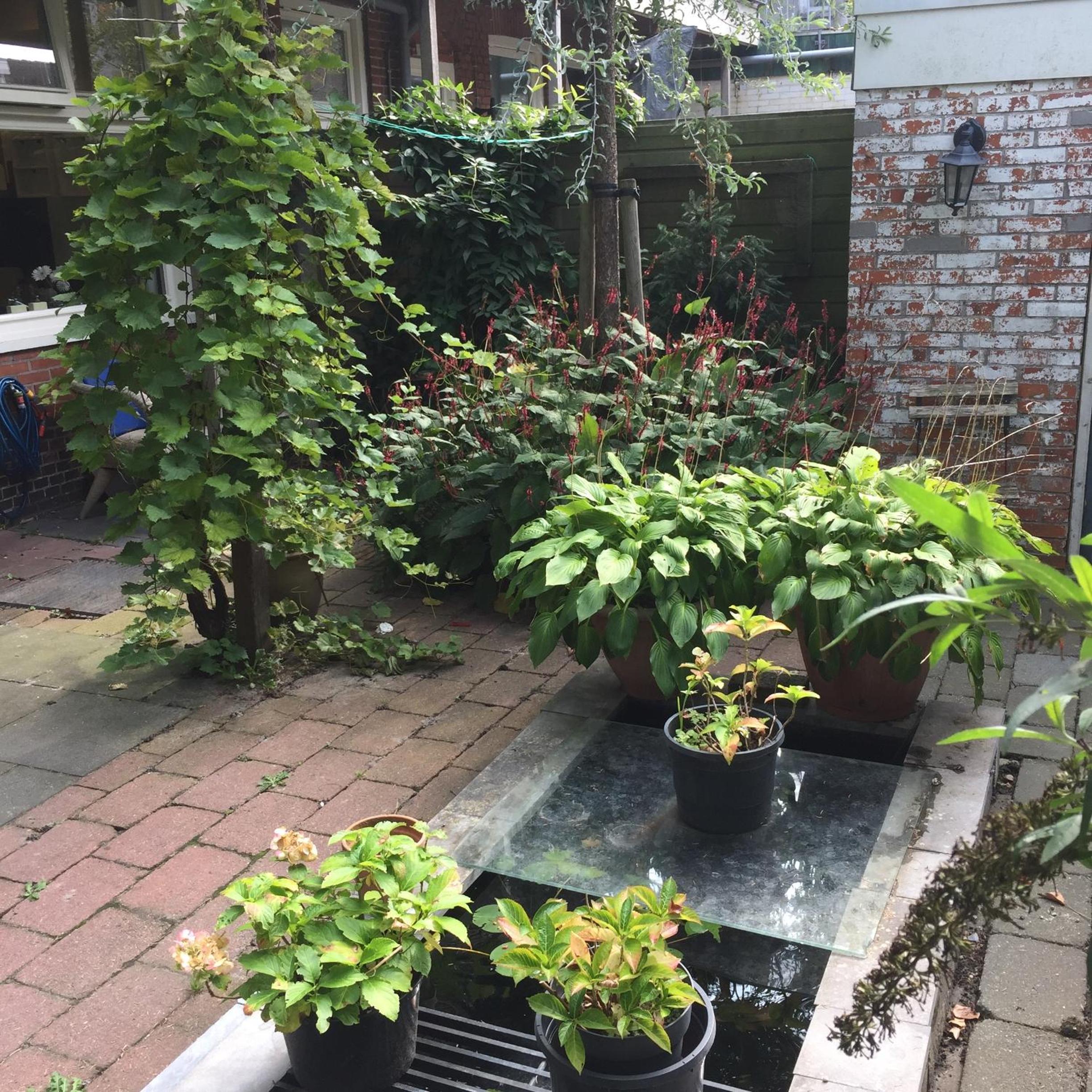 Photo 15
