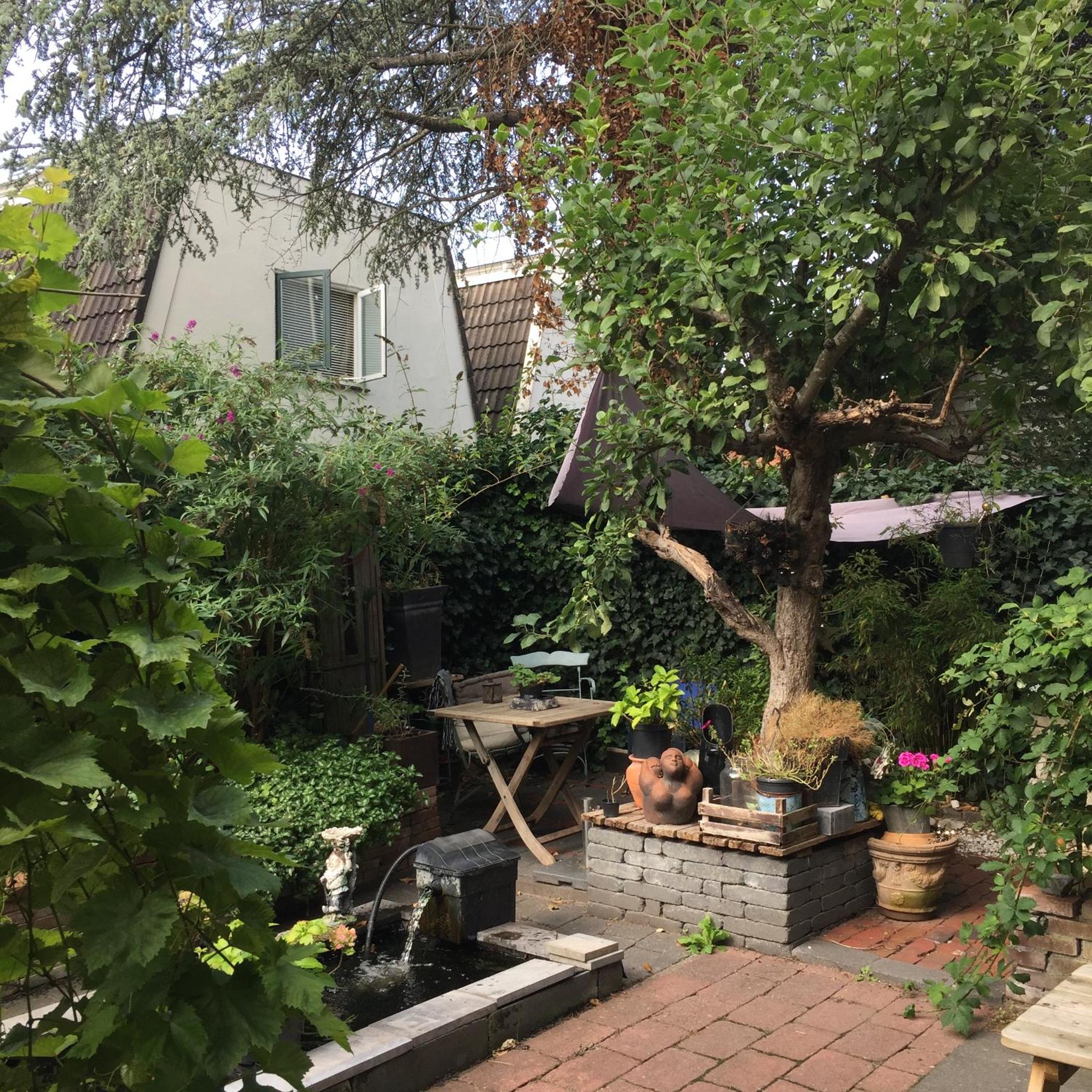 Photo 16