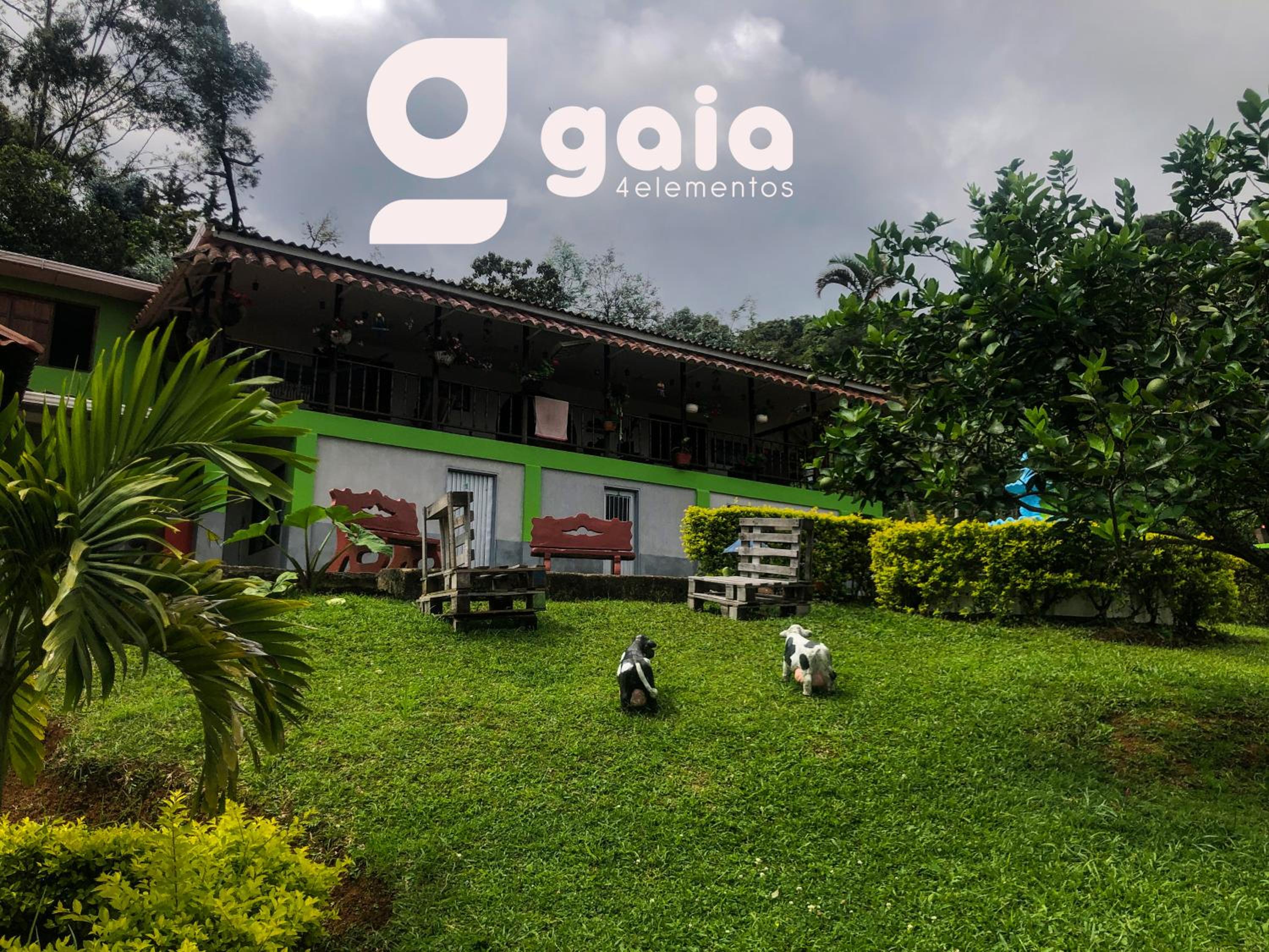 Gaia 4 Elemento