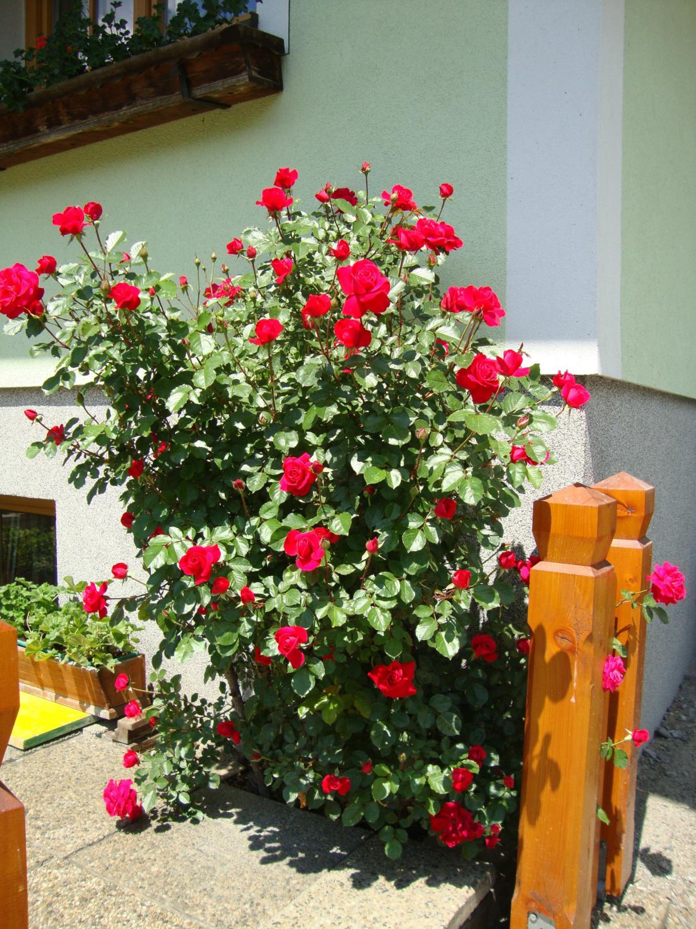 Gruberbauer Remsach