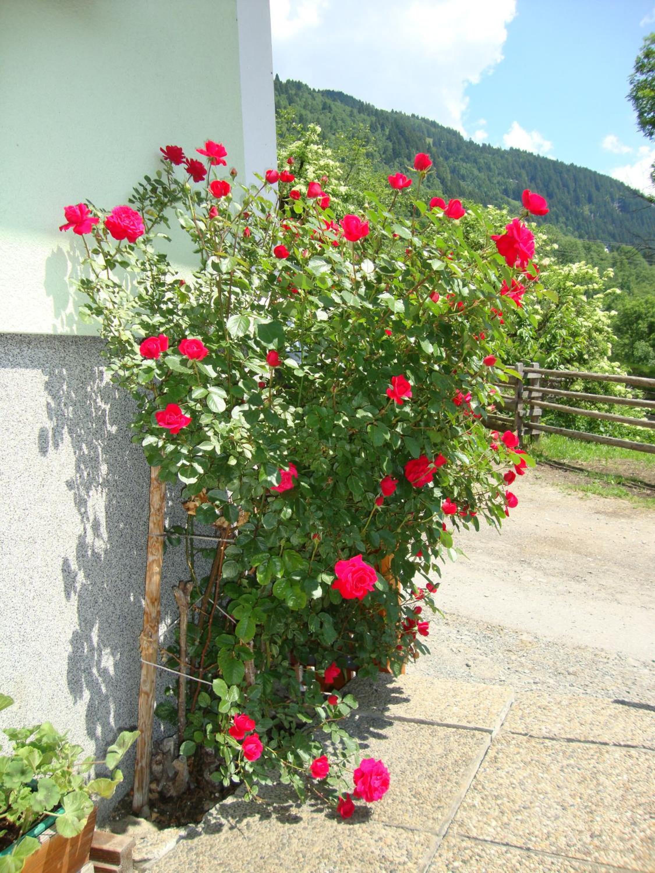 Gruberbauer Remsach