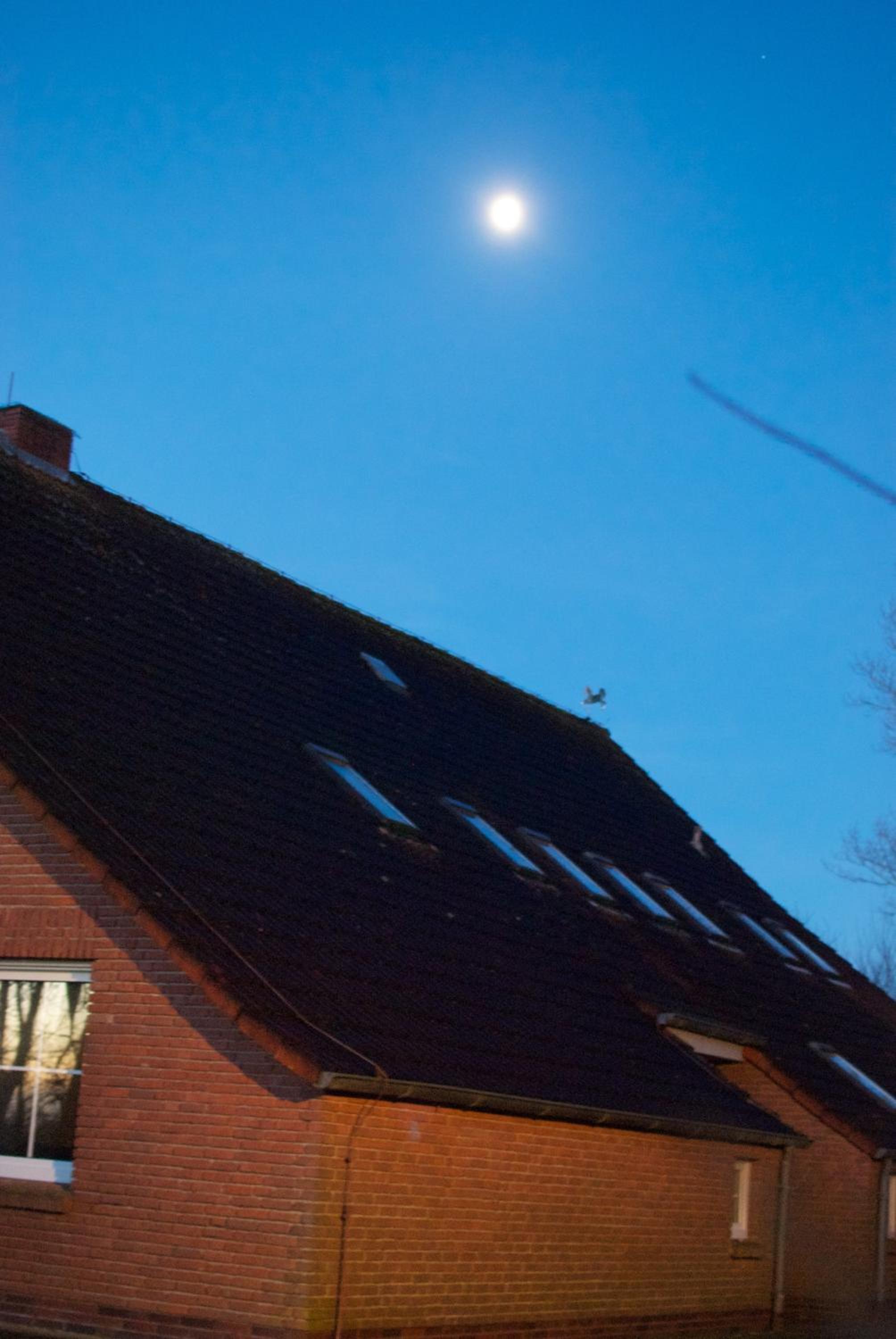 Bed&Breakfast Lichtpüntje