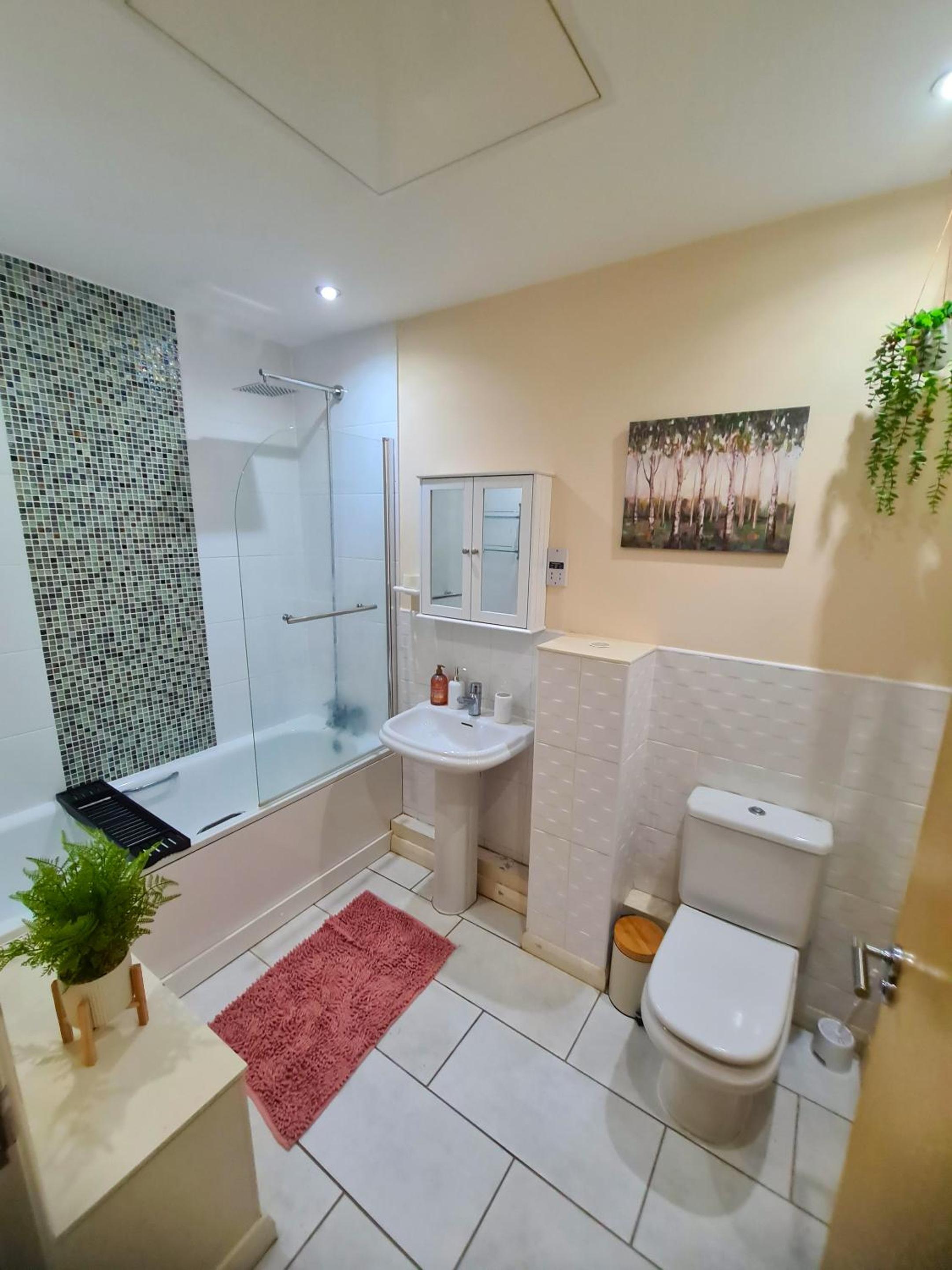 3 Bed House Etihad view 4