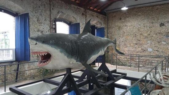 Suíte Studio no Centro Histórico, Próxima à Beira Mar