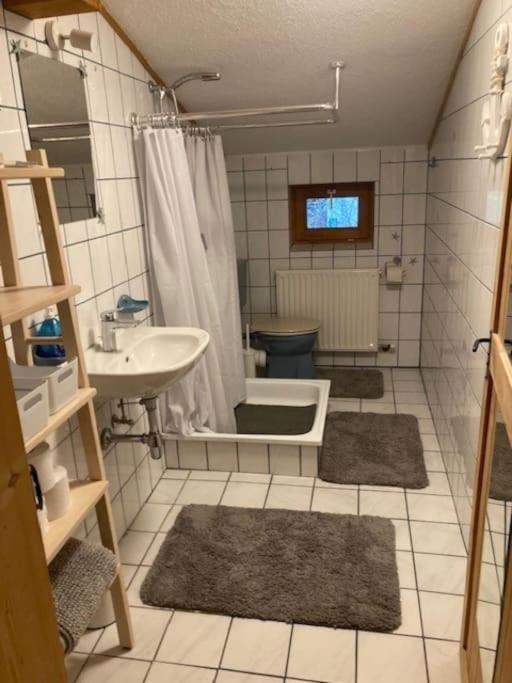Große schöne Mansardenwohnung mit 2 Balkonen