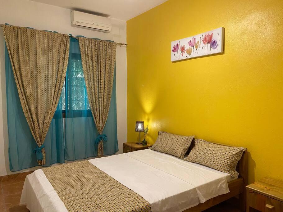 T4 Tropical House