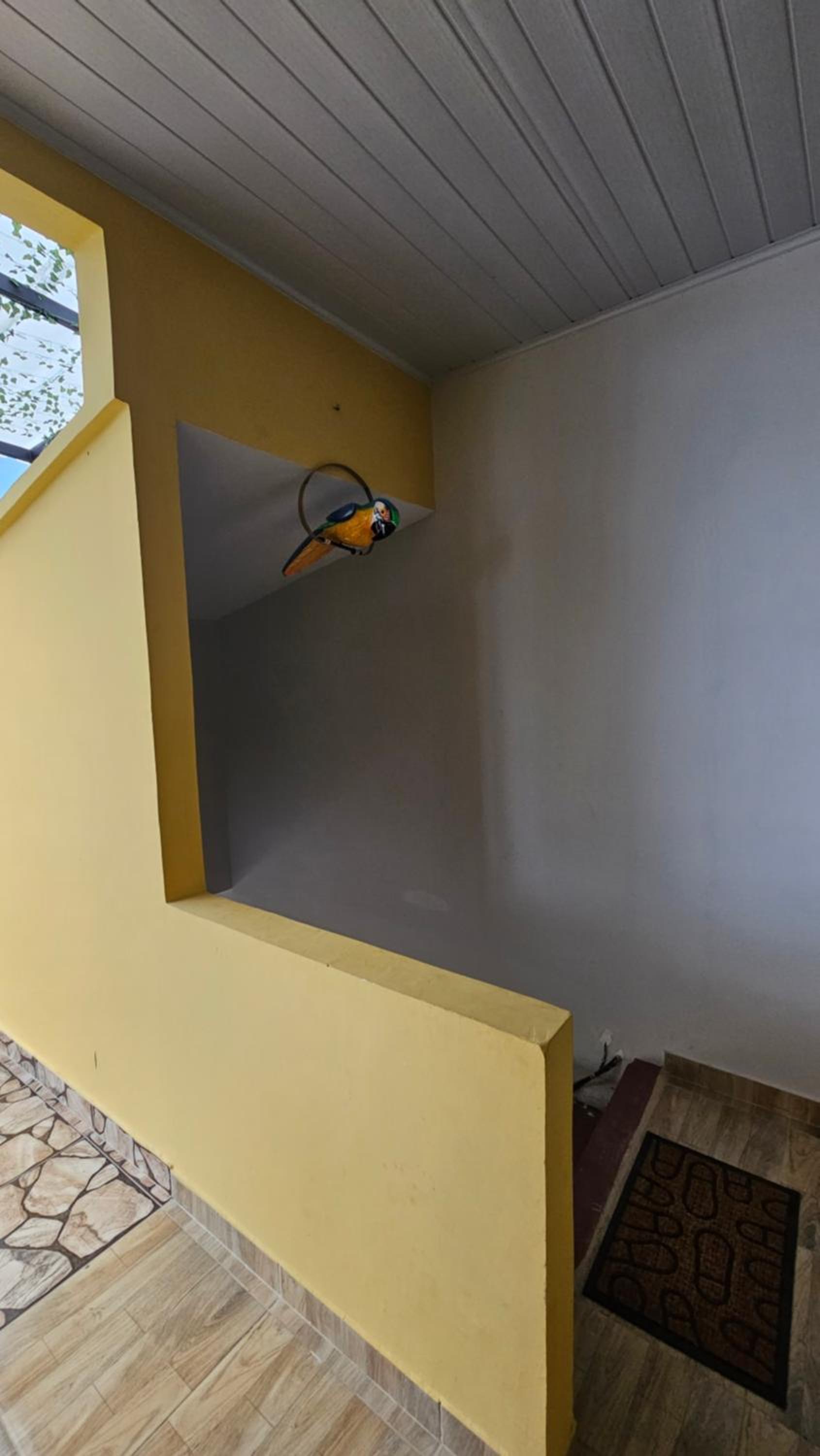 Amazon Minimalist