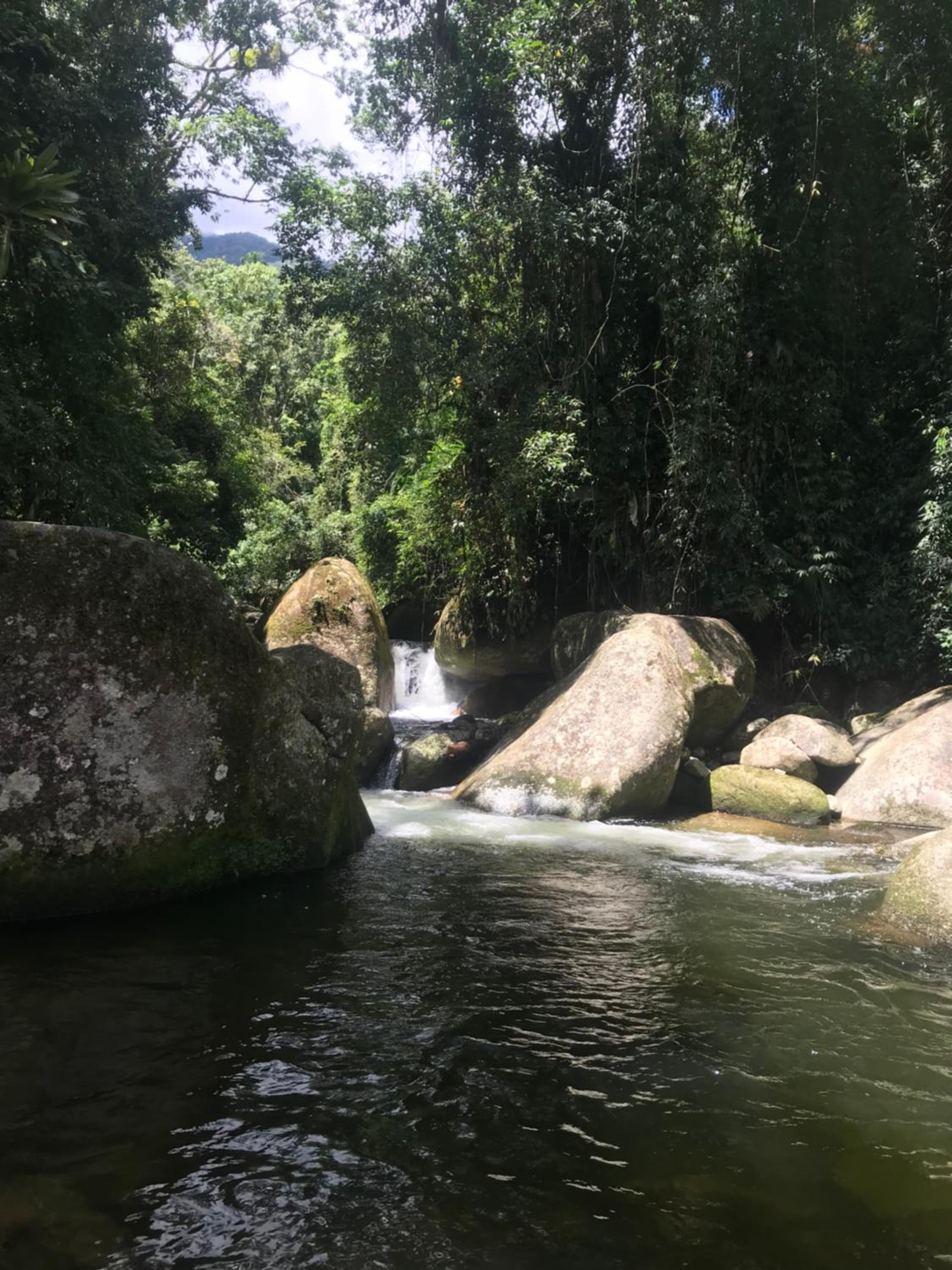 Jungle paradise in Paraty