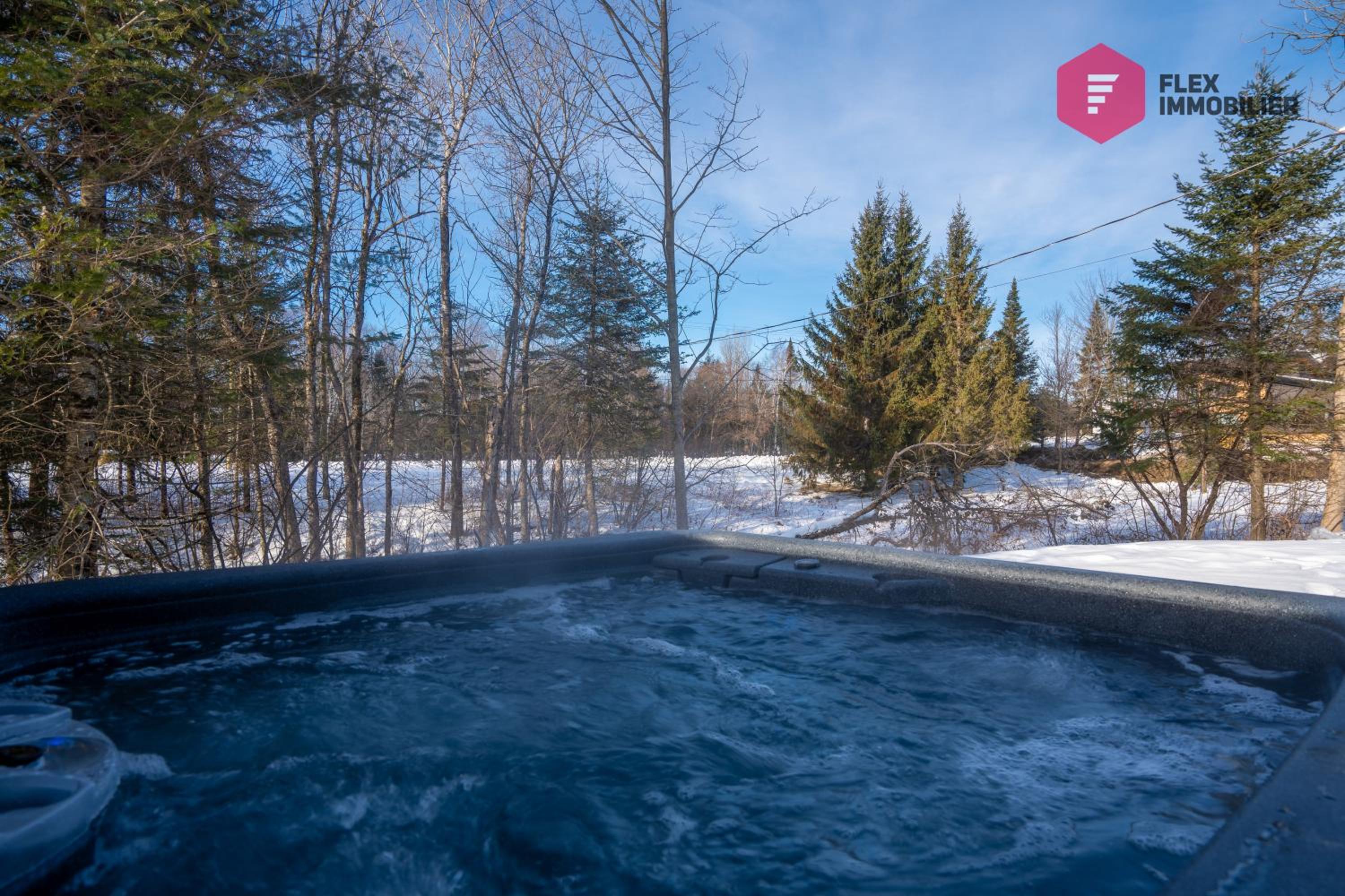 The Soothing Green at Cité-Jardin - Private SPA, Ping pong, Fireplace & Pool