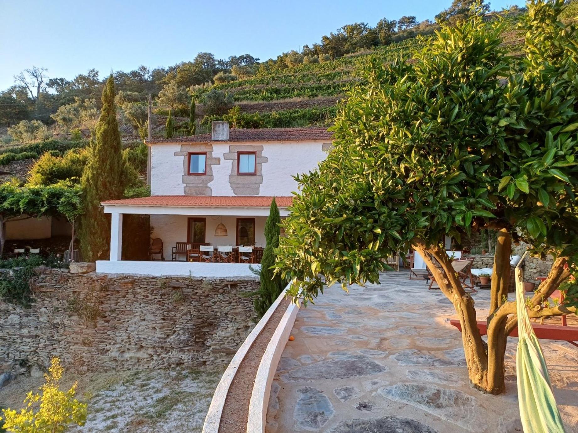 Country house Quinta da Salgueira view 4