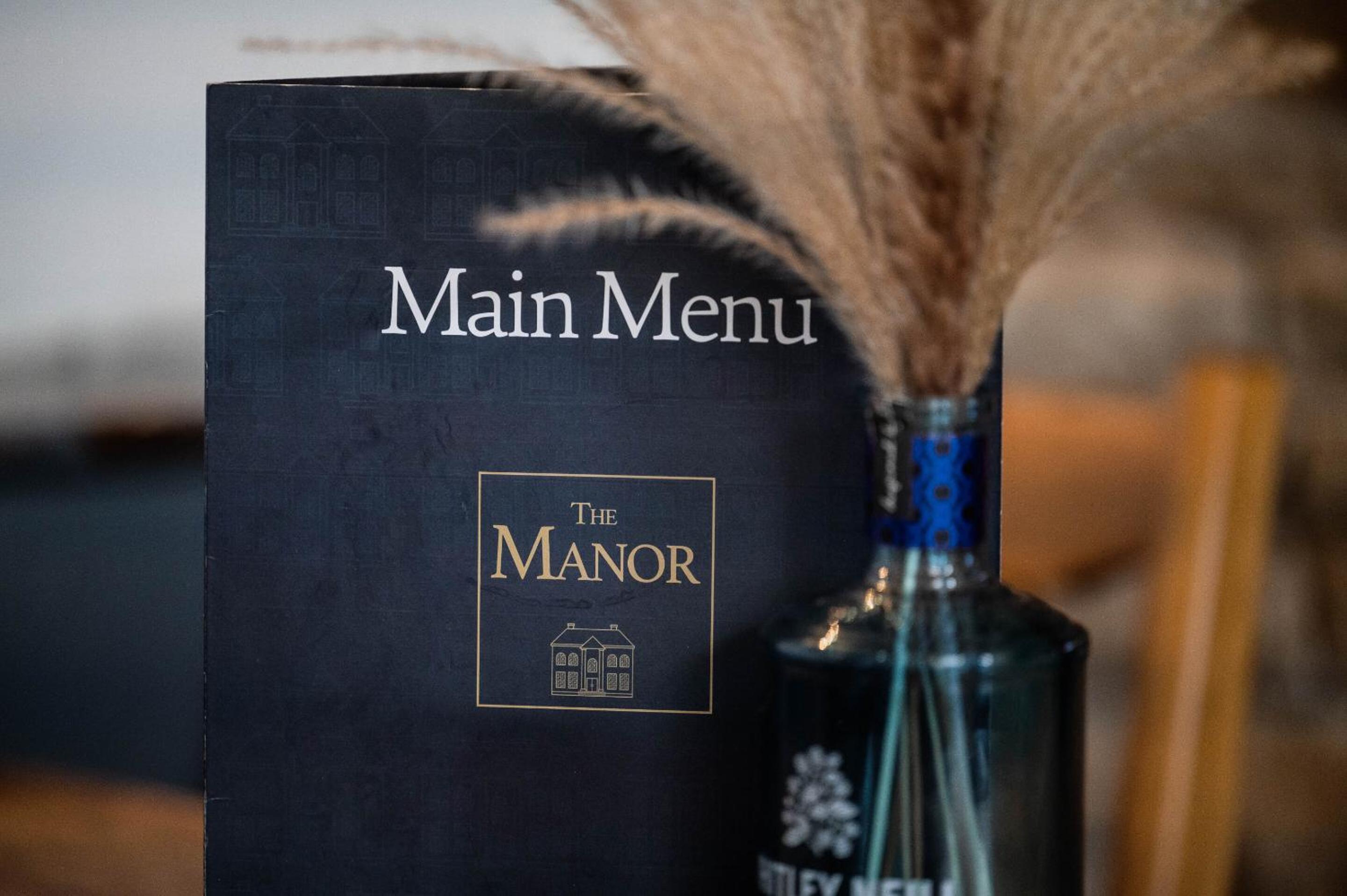 The Manor view 5