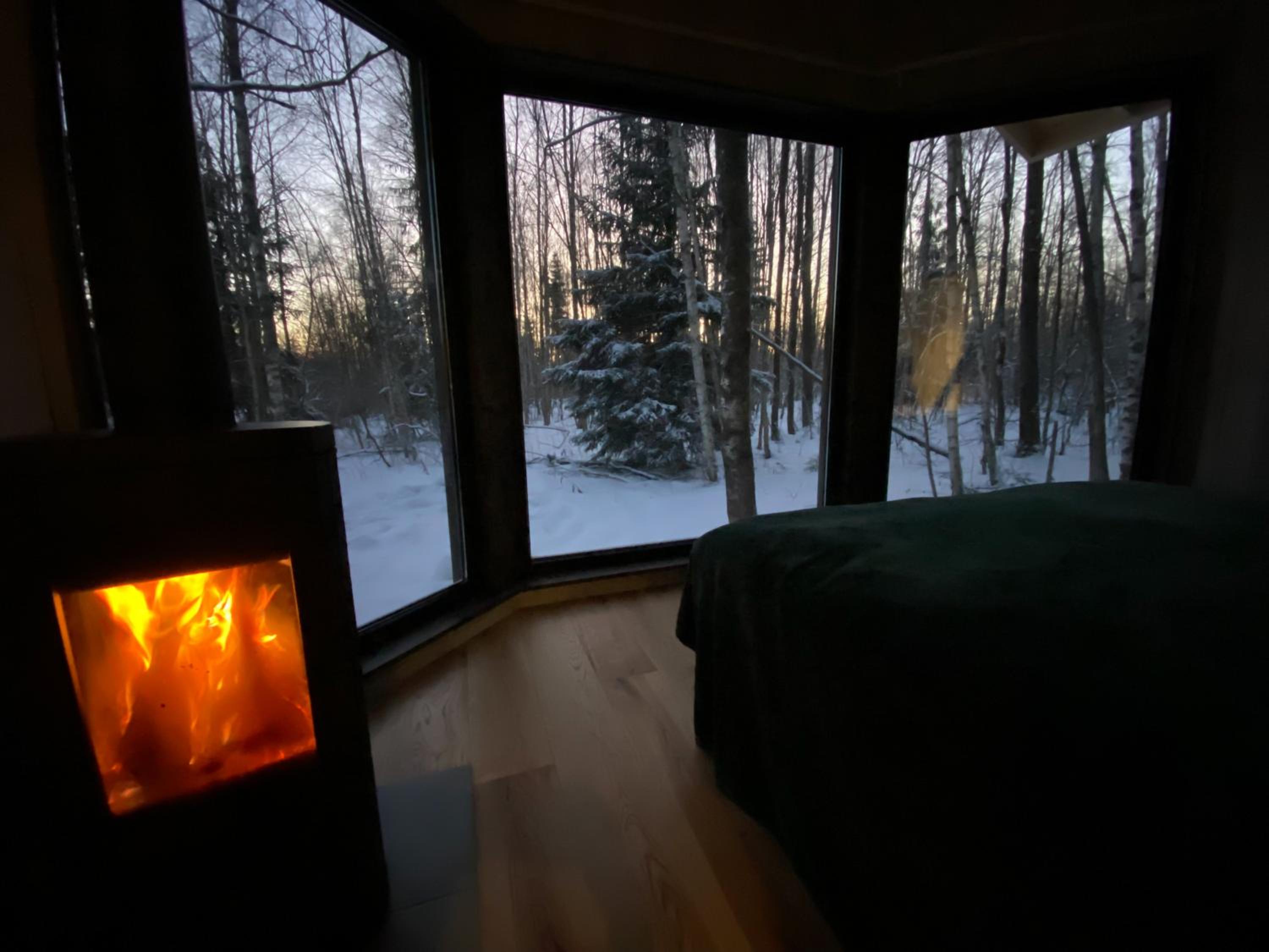Paunküla Nature Resort (forest villa)