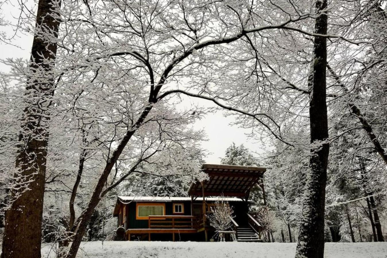 Farmview Cottage at White Lotus Eco Spa Retreat view 5