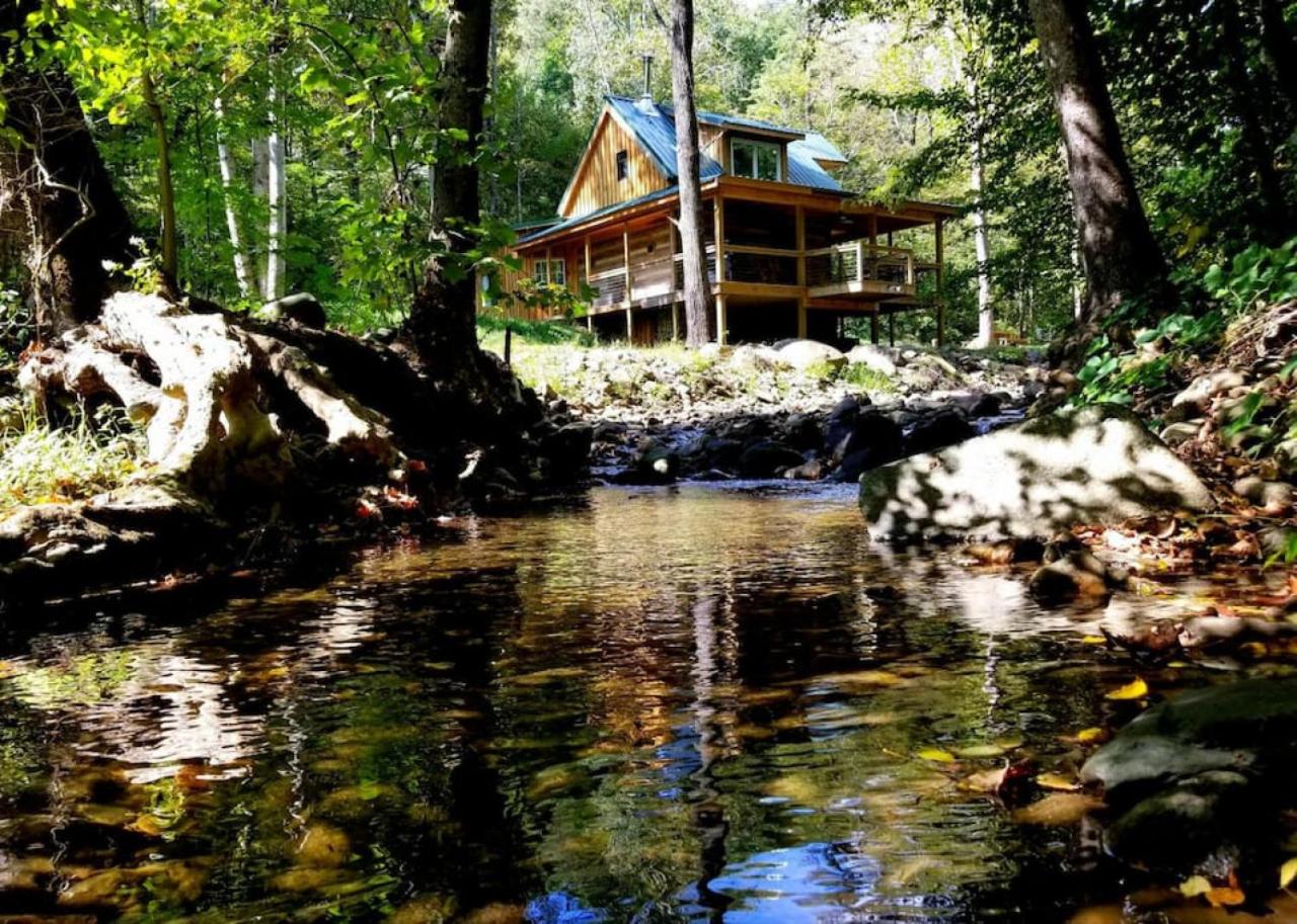 Log Cabin on the River view 3