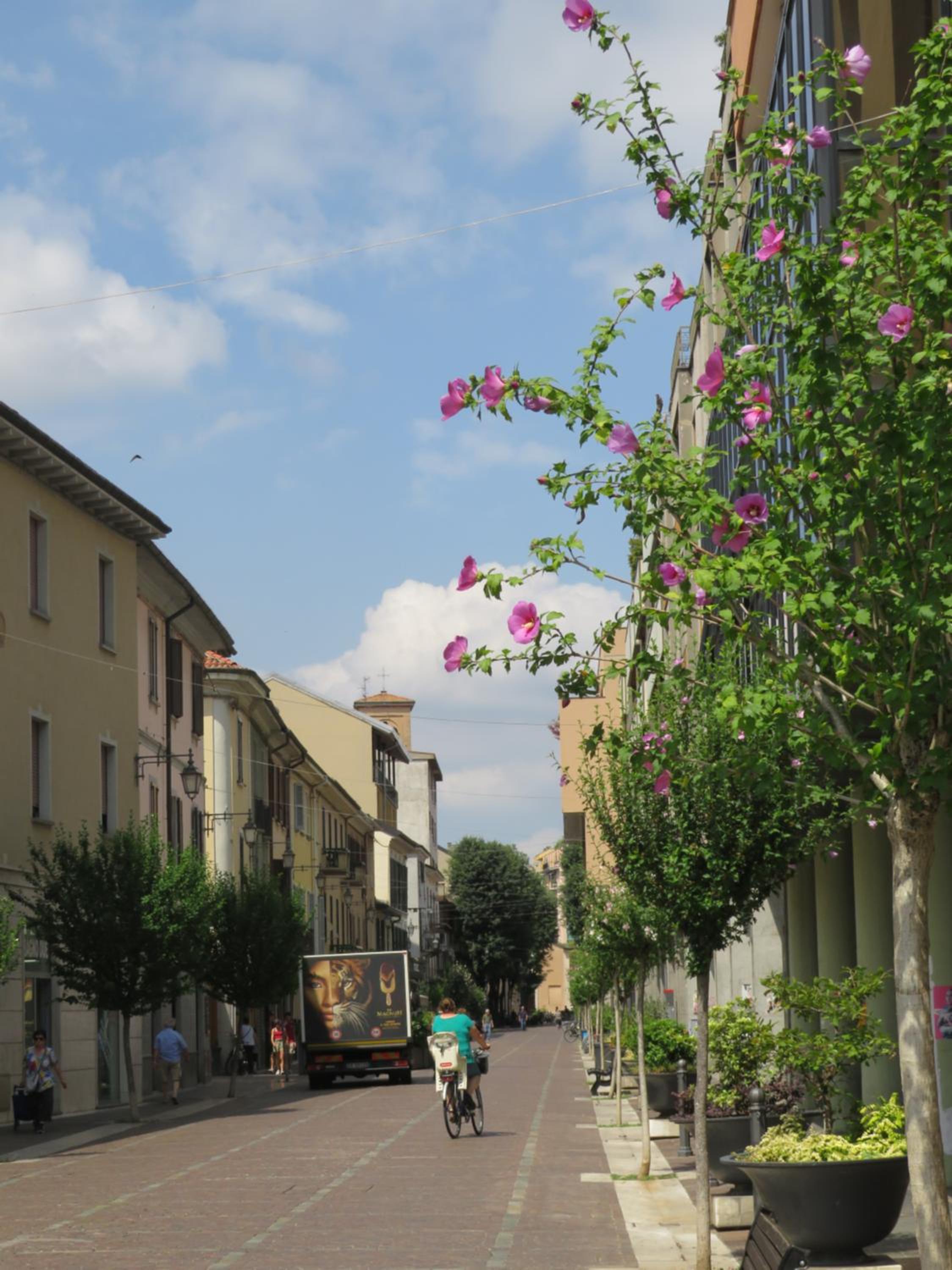 Casa Luna tra Como e Milano en Saronno — human