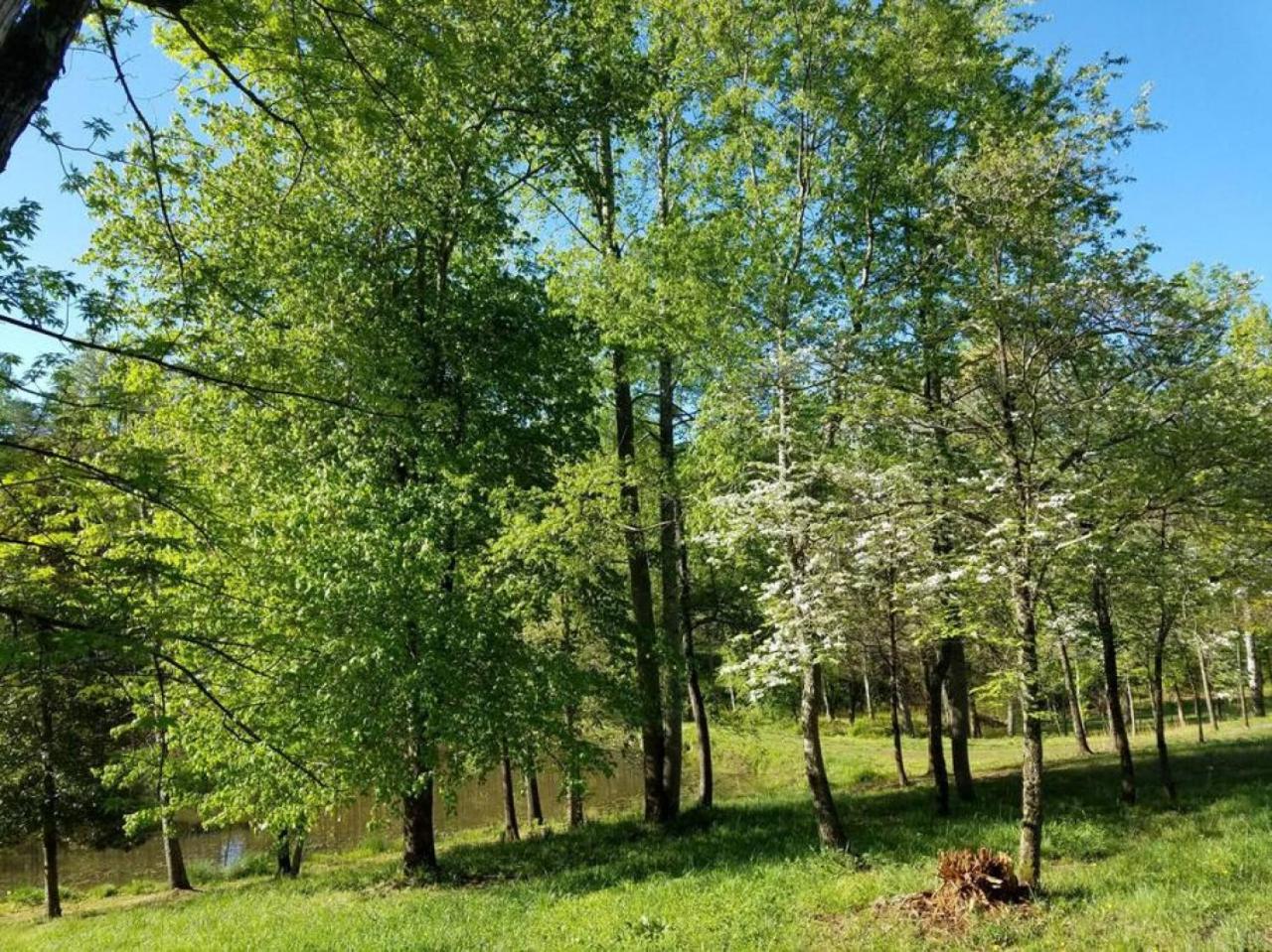 Pond View ( Second bedroom at extra cost) view 2