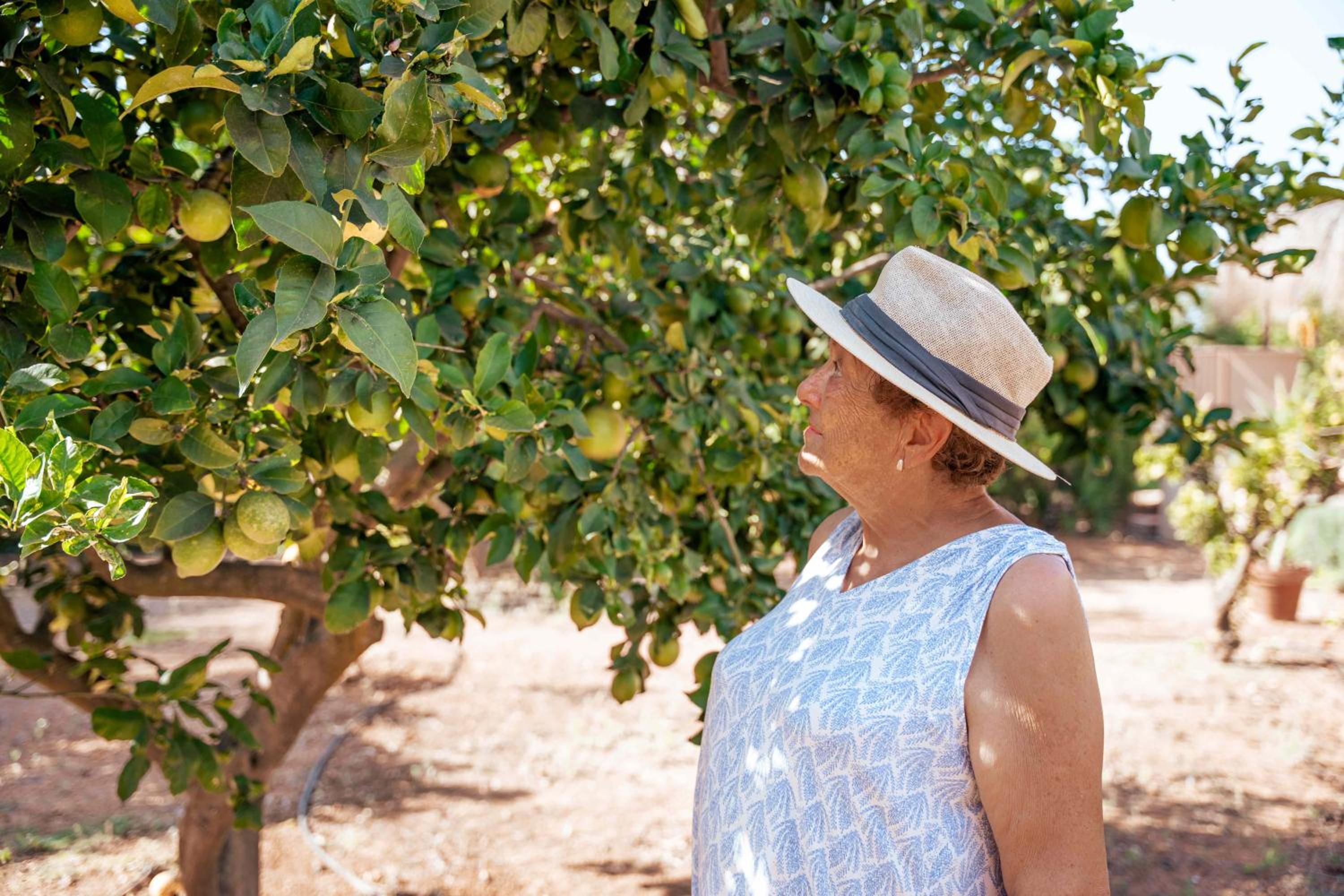 Agroturismo Son Barceló Mas