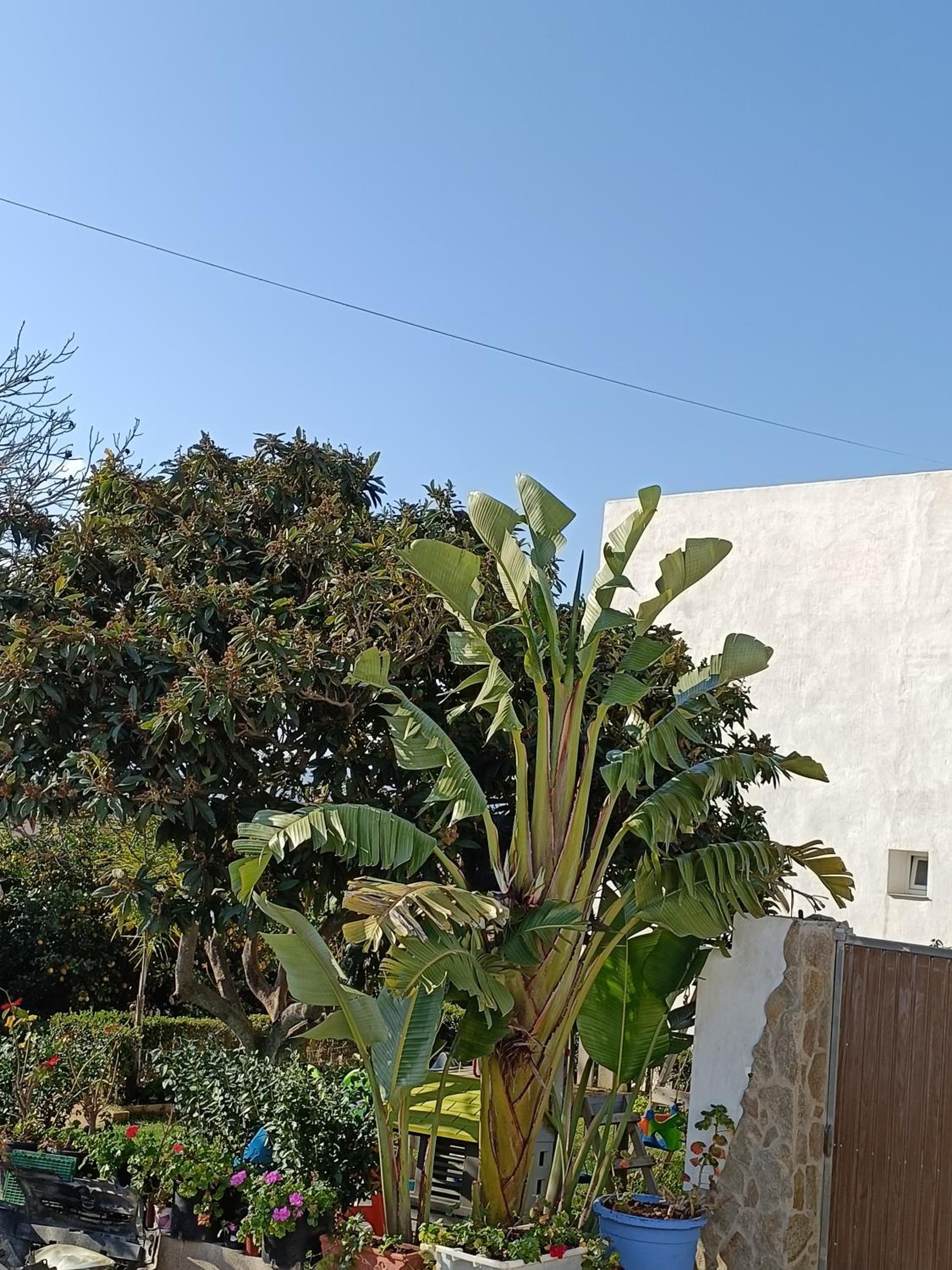 Photo 43