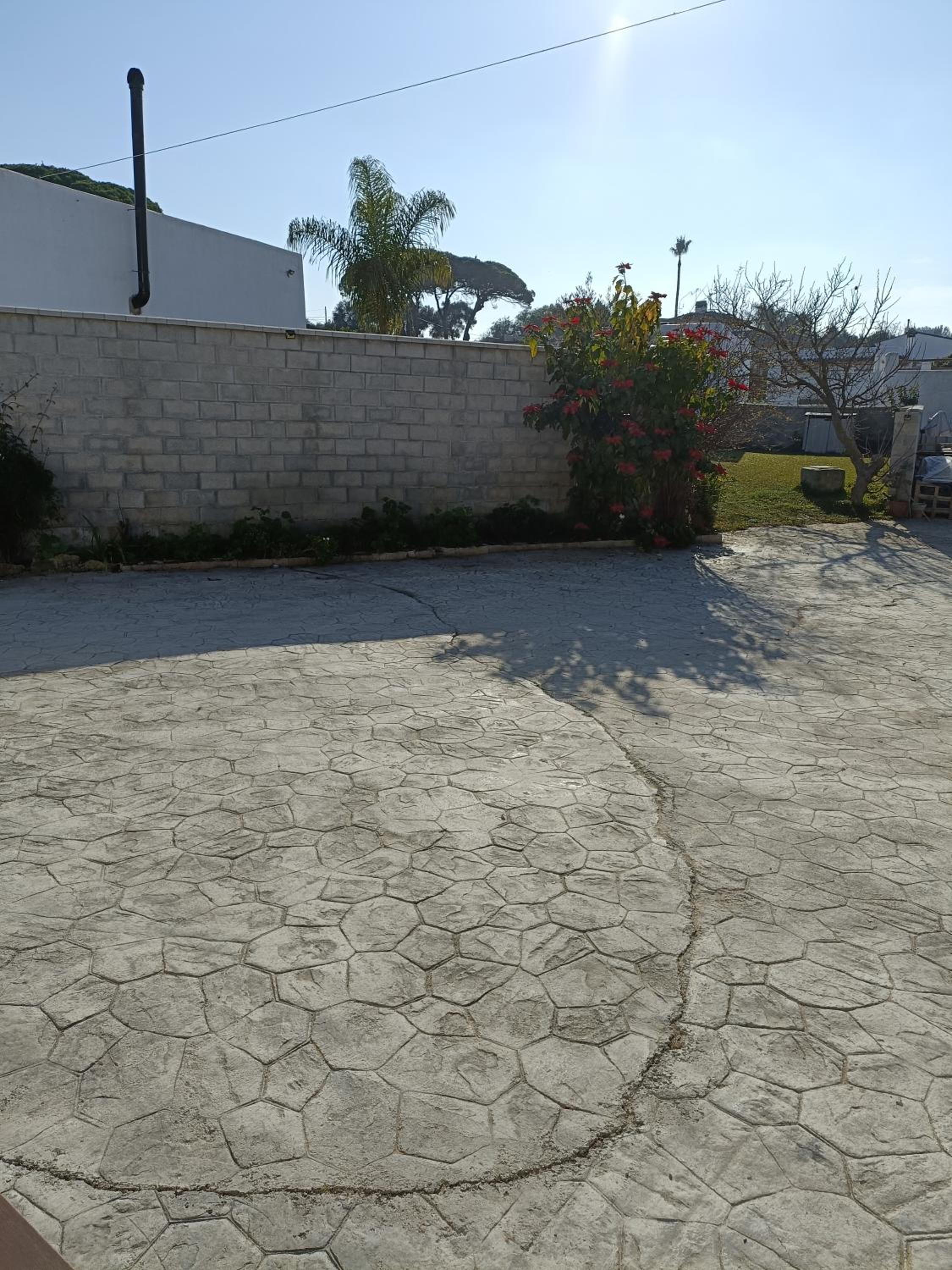 Photo 42