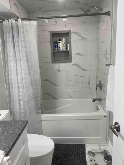Luxurious & upscale basement apartment