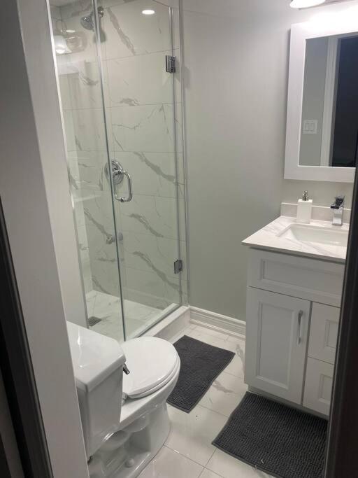 Luxurious & upscale basement apartment