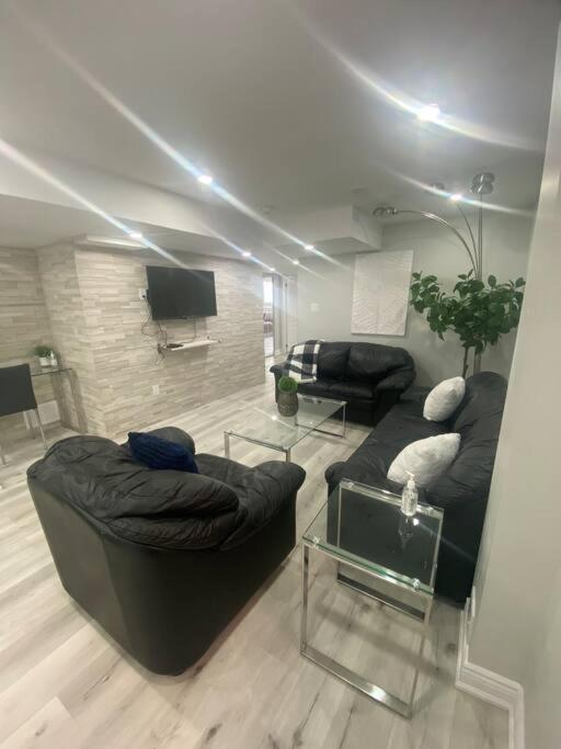 Luxurious & upscale basement apartment