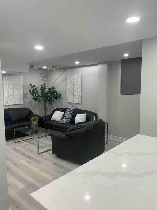 Luxurious & upscale basement apartment