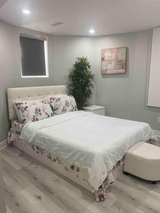 Luxurious & upscale basement apartment