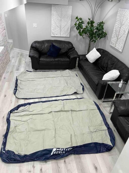 Luxurious & upscale basement apartment