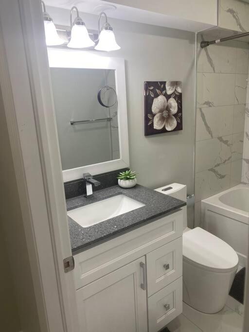 Luxurious & upscale basement apartment