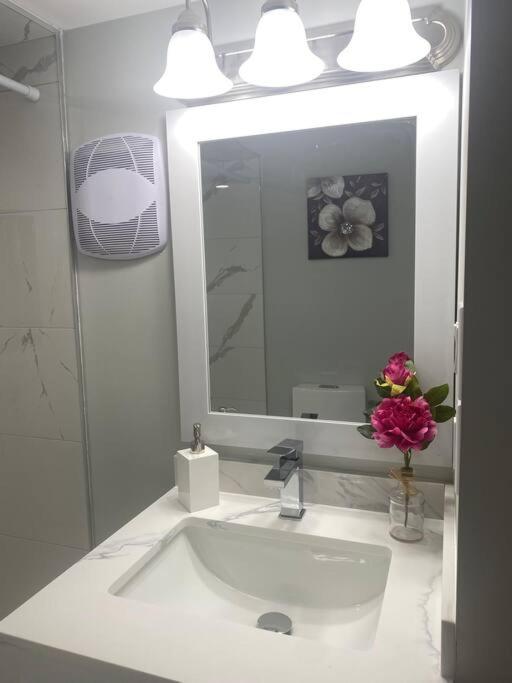 Luxurious & upscale basement apartment