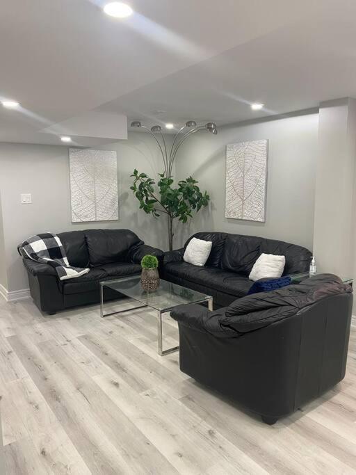 Luxurious & upscale basement apartment