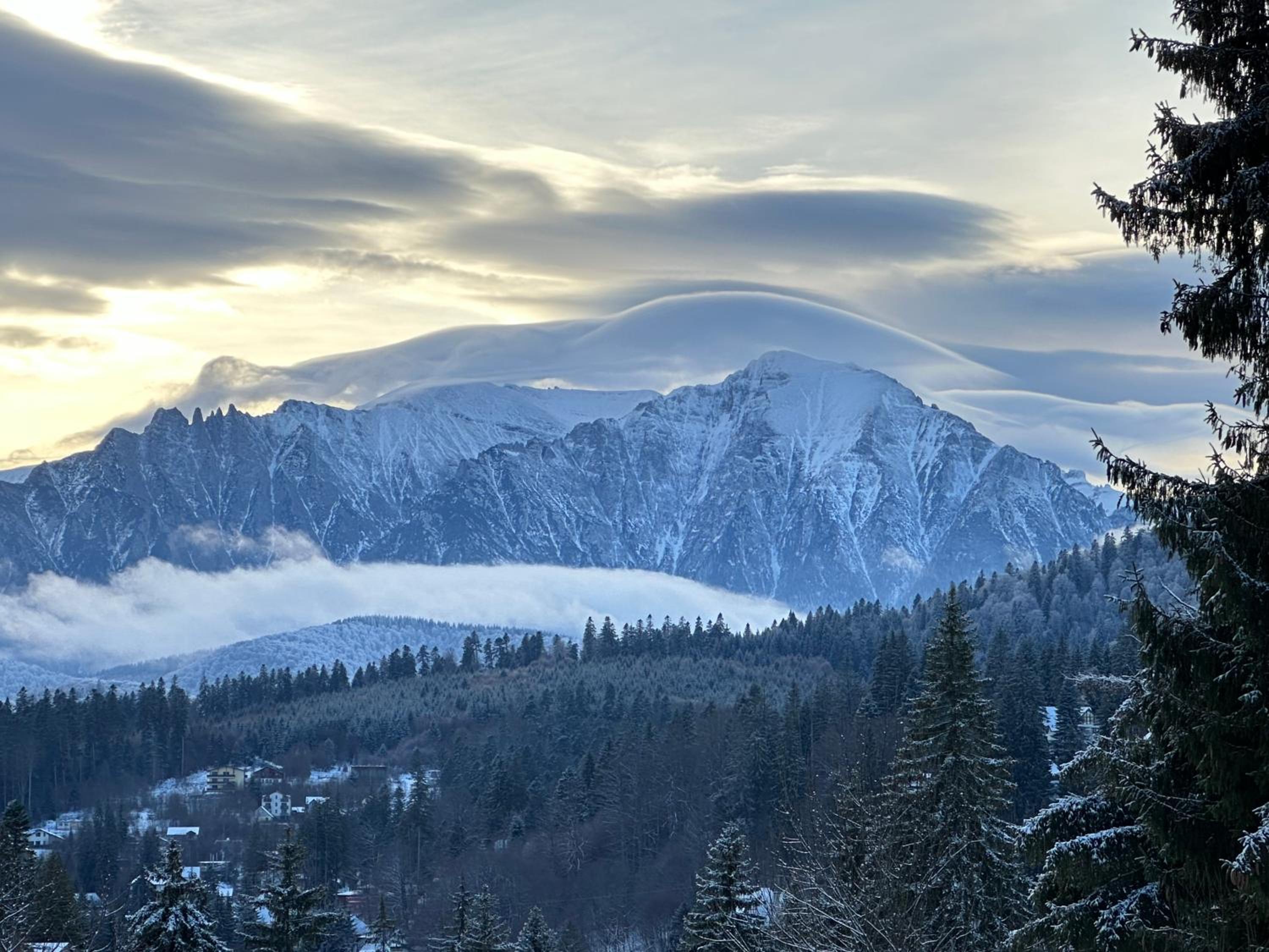 Pine Peak
