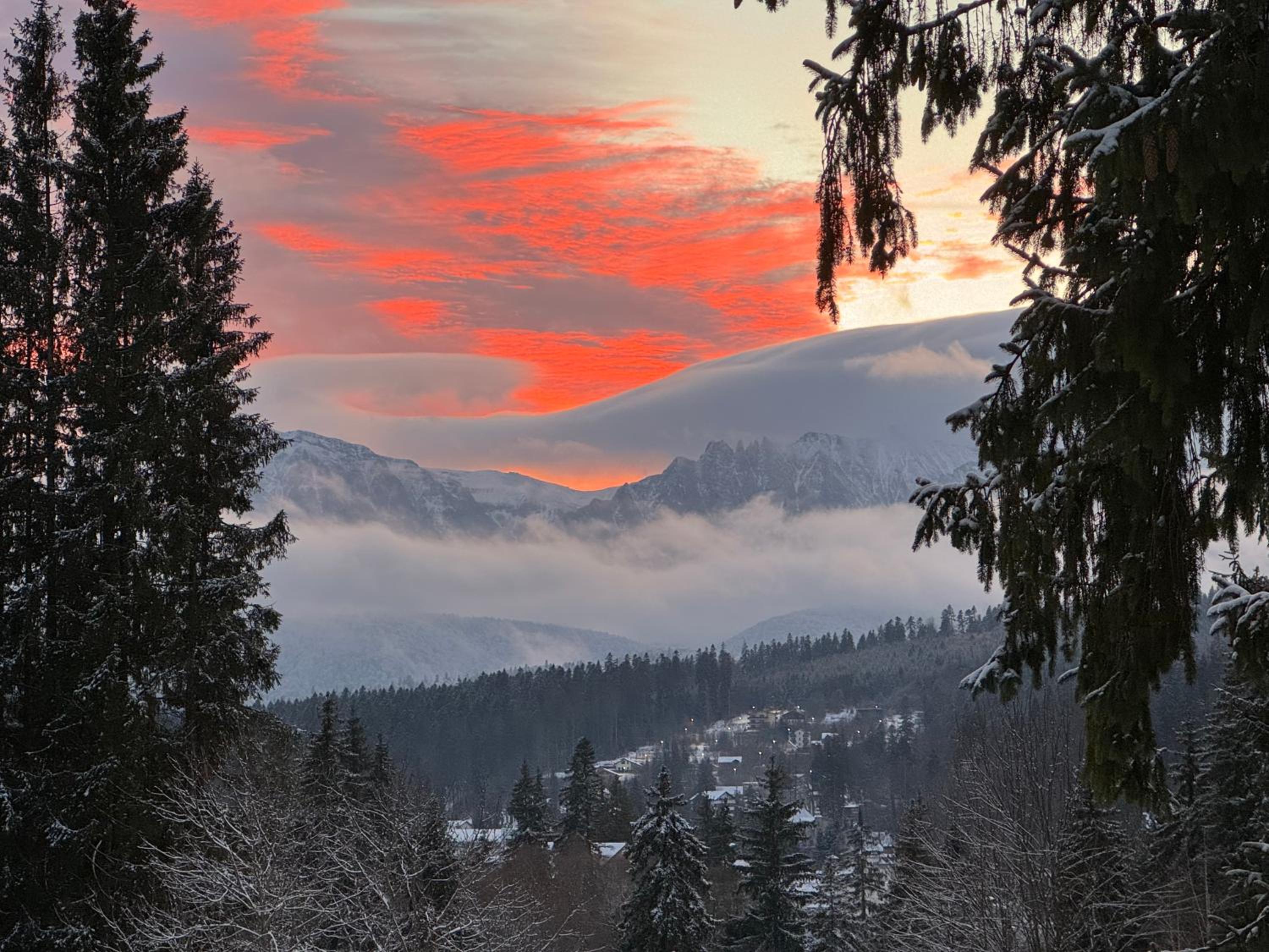 Pine Peak