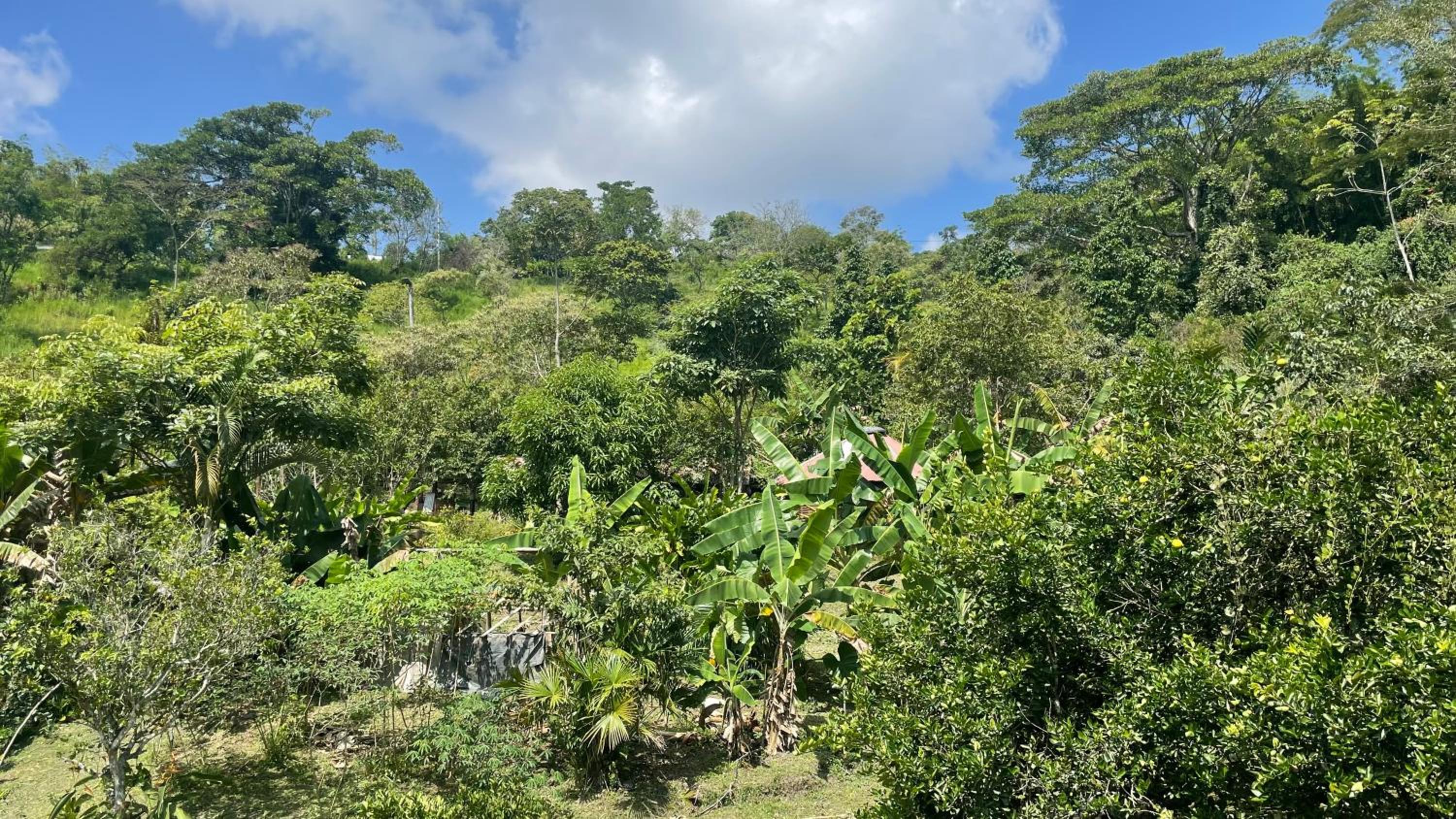 TROPICAL BIOHOSTEL