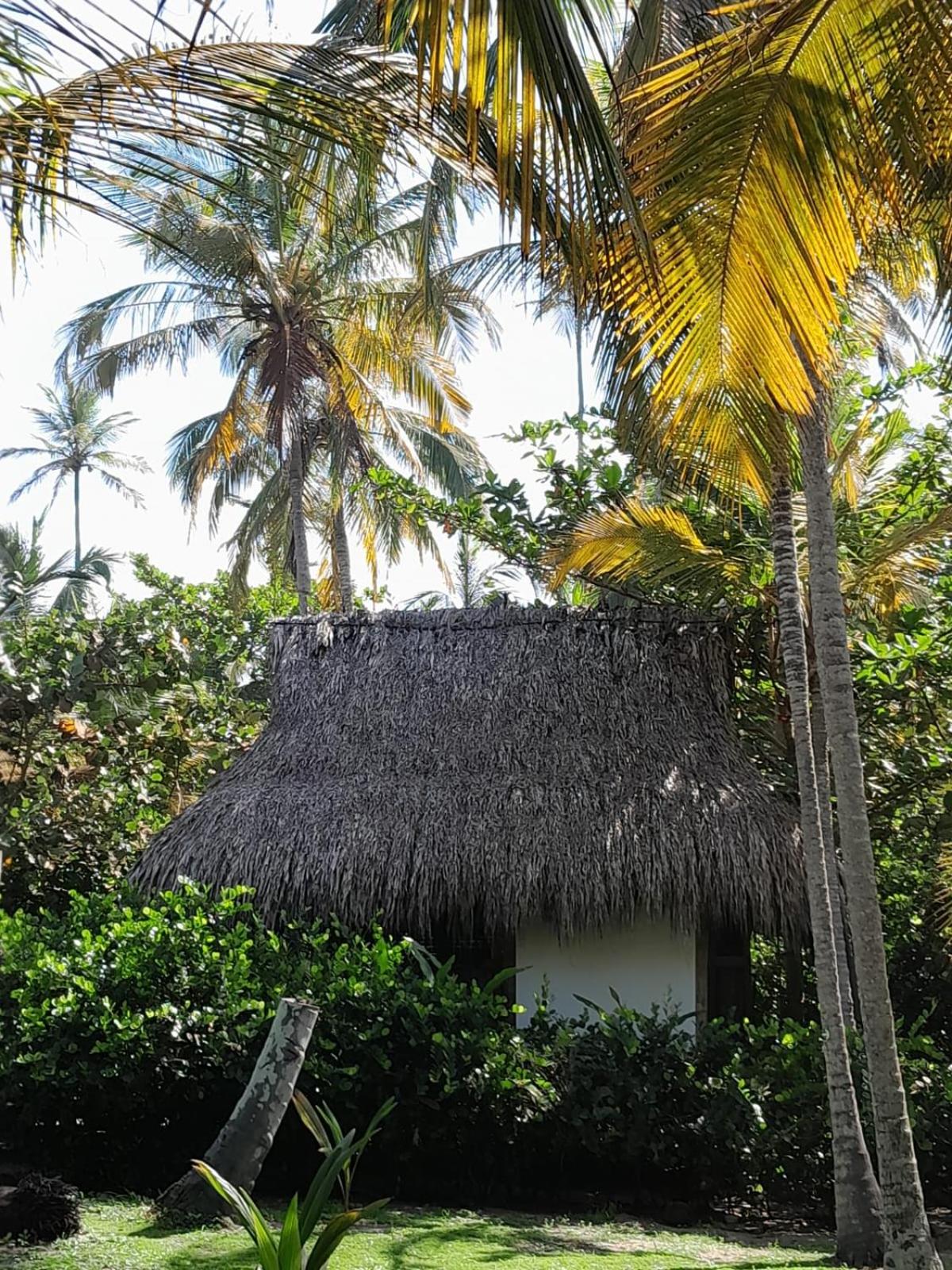 Playa Pikua Ecolodge