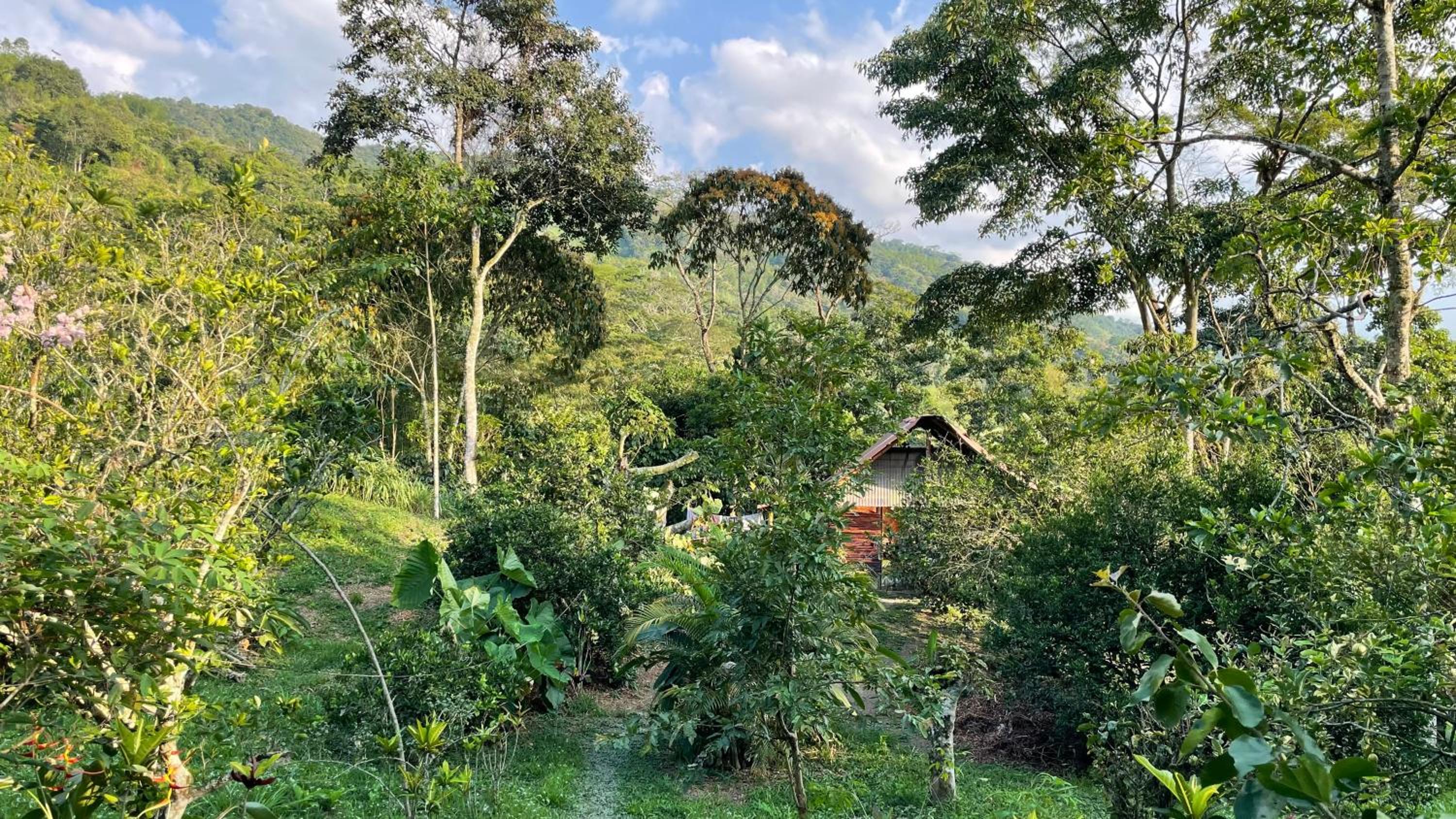 TROPICAL BIOHOSTEL