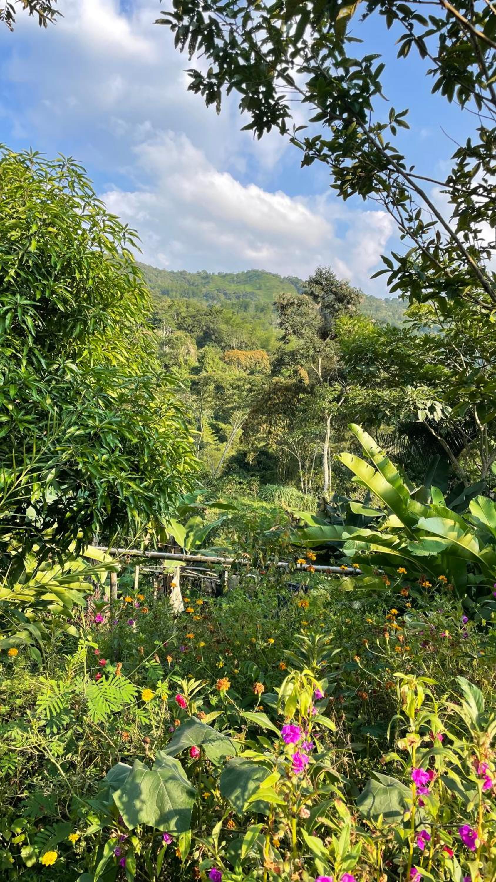 TROPICAL BIOHOSTEL