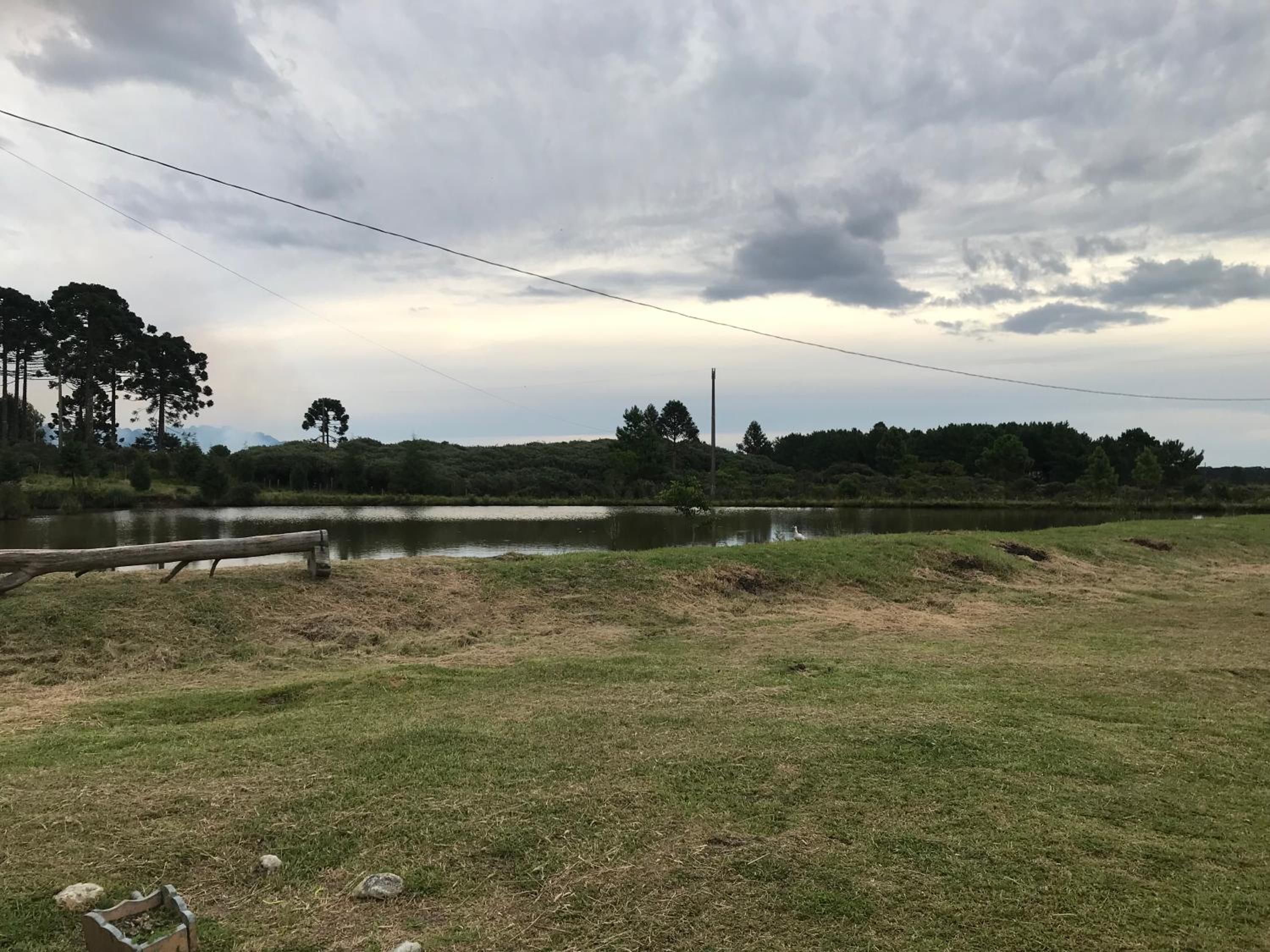 Encanto das Araucárias