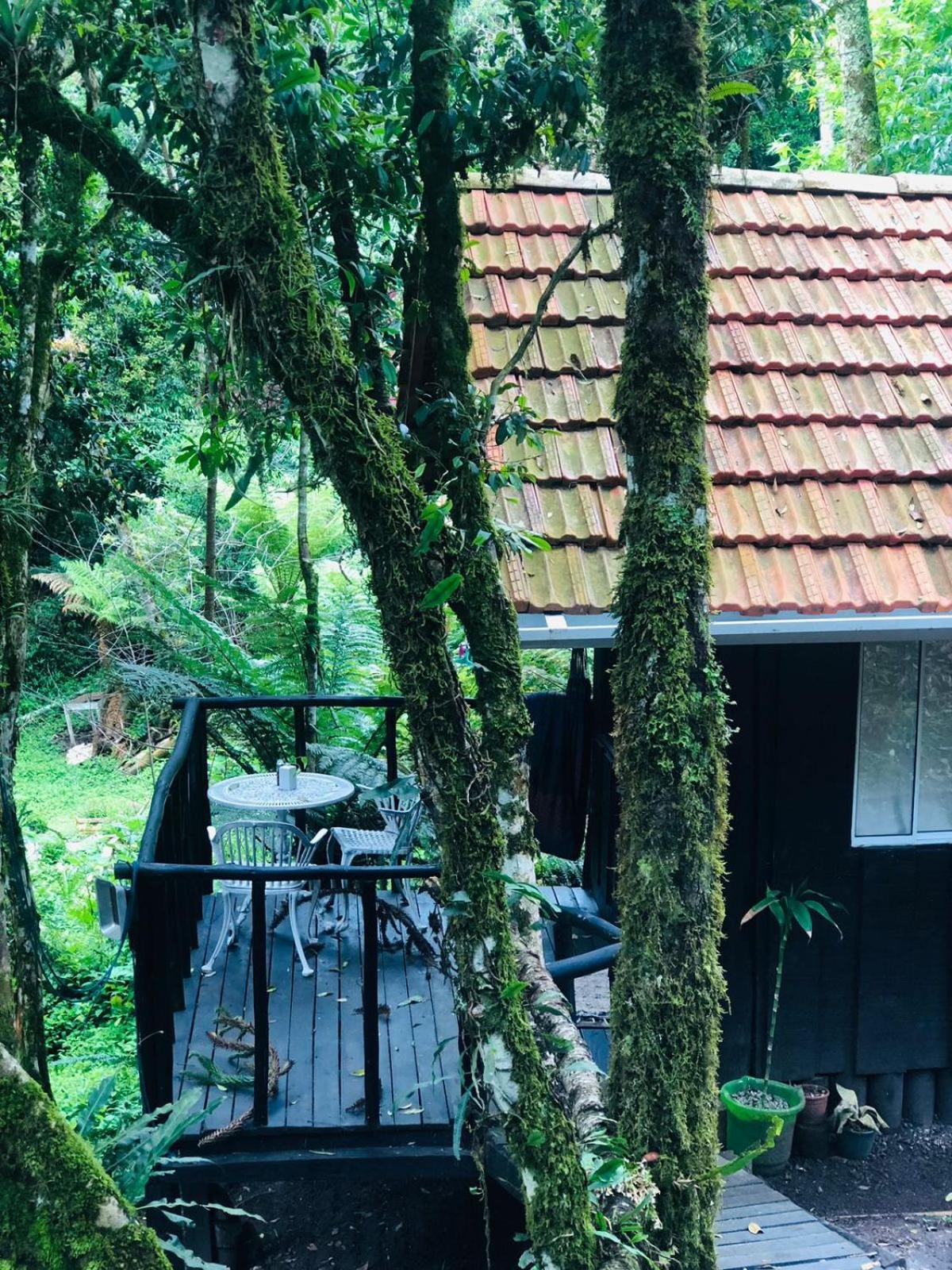 Cabana littlehouse